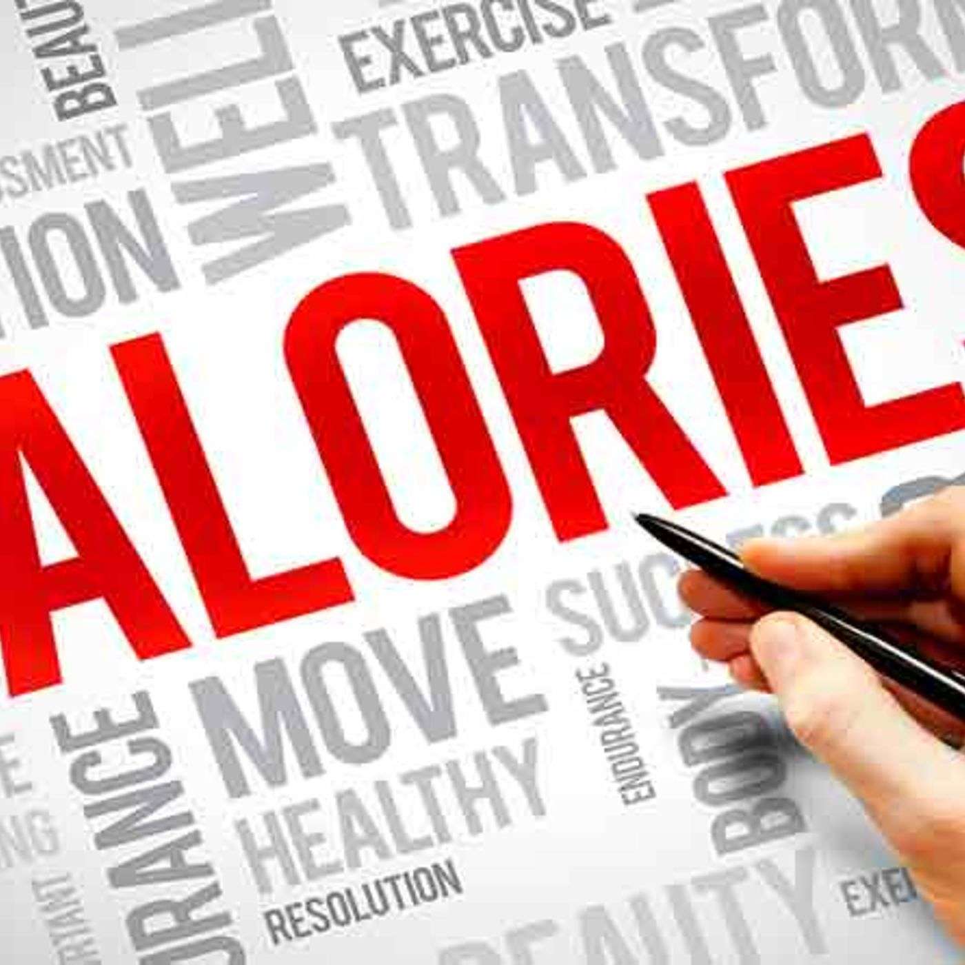 Life of a Fighter Podcast: Episode 45 - Counting Calories Debunked Part 1 episode artwork