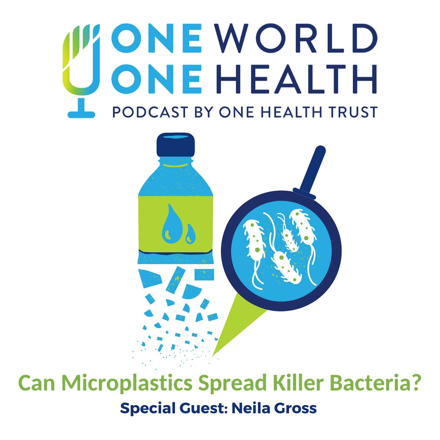 Can Microplastics Spread Killer Bacteria?