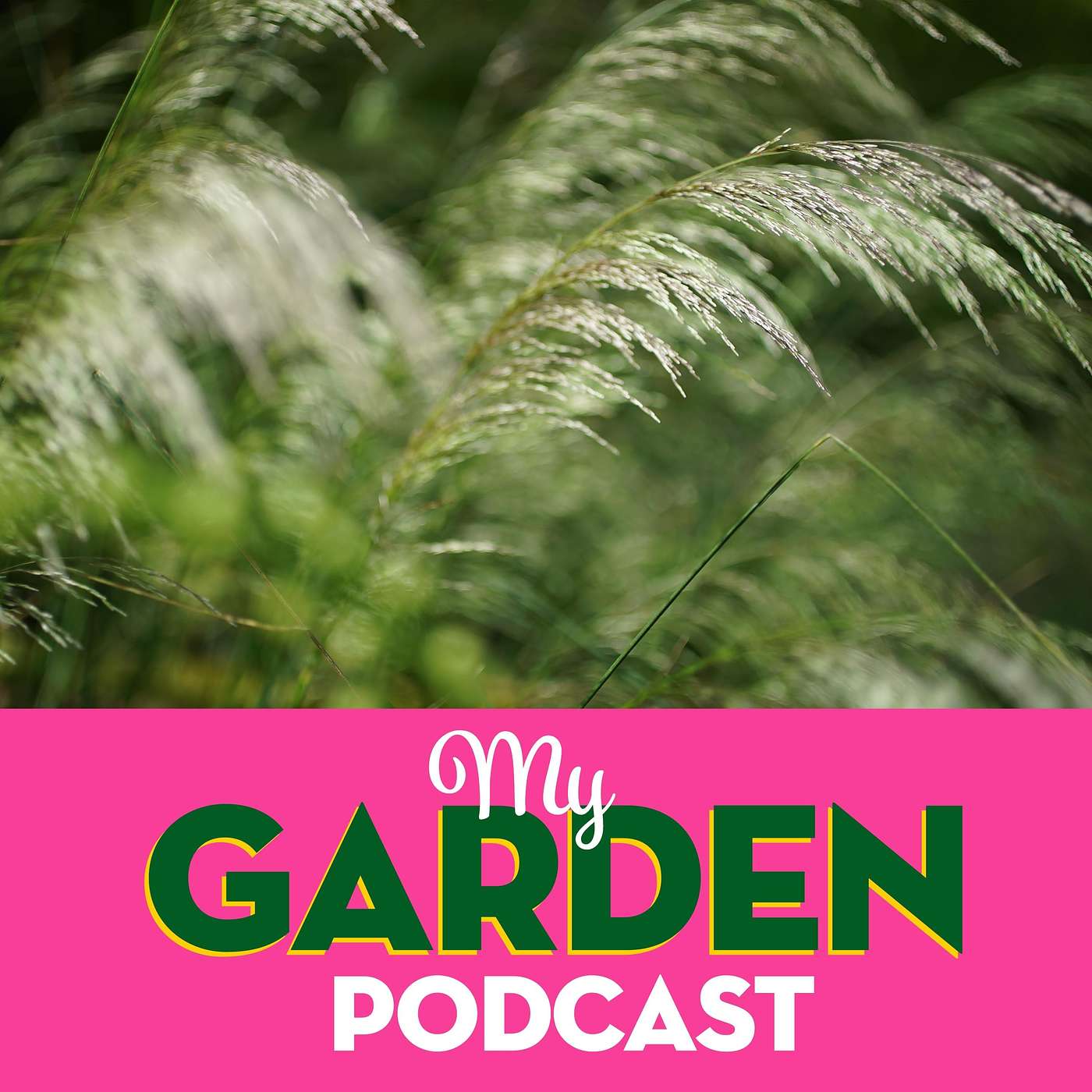 My Garden Podcast - Gardening Podcast