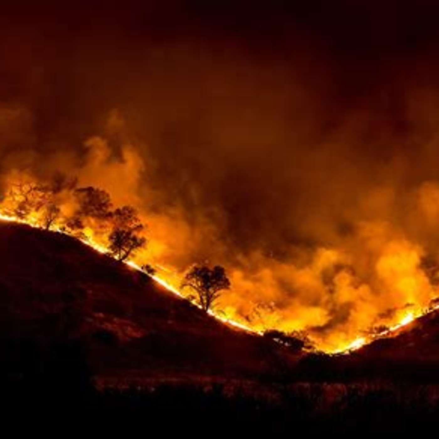 Wildfires..everywhere episode artwork
