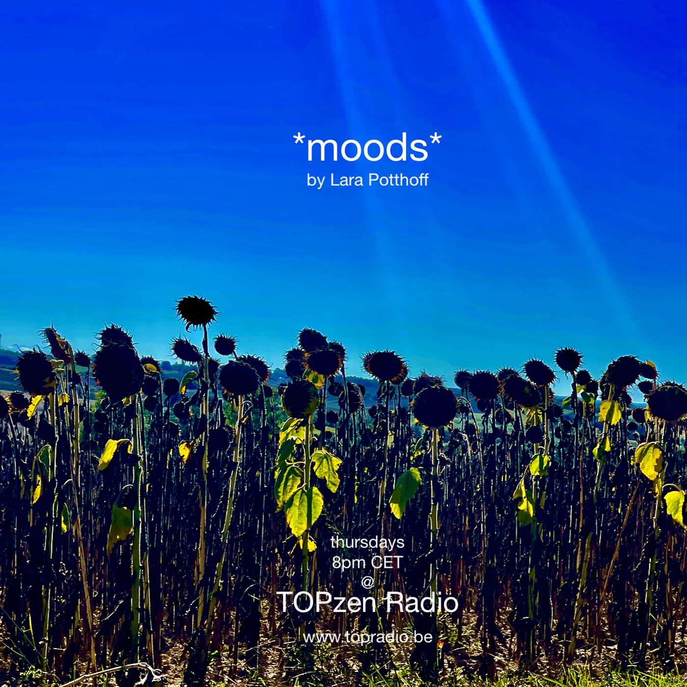 Moods by Lara Potthoff