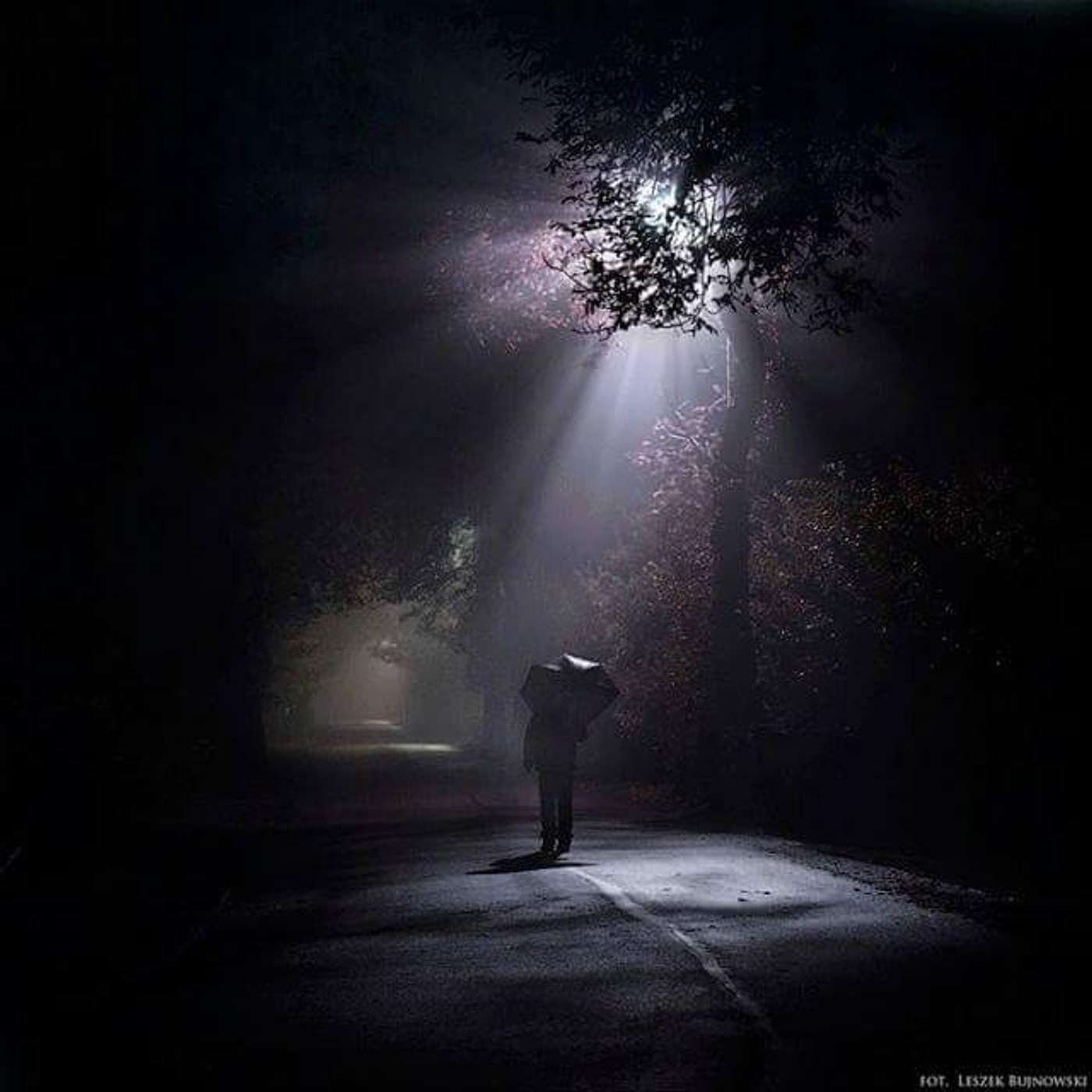bacoviană de octombrie episode artwork