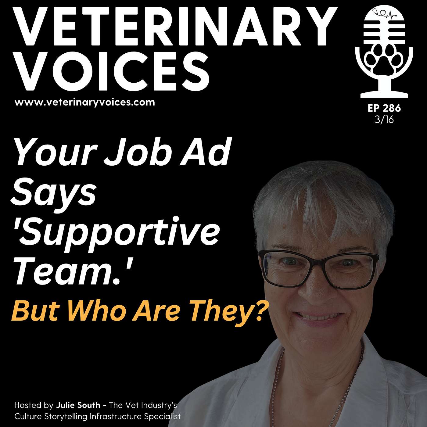 Your Job Ad Says 'Supportive Team.' But Who Are They? - ep 286