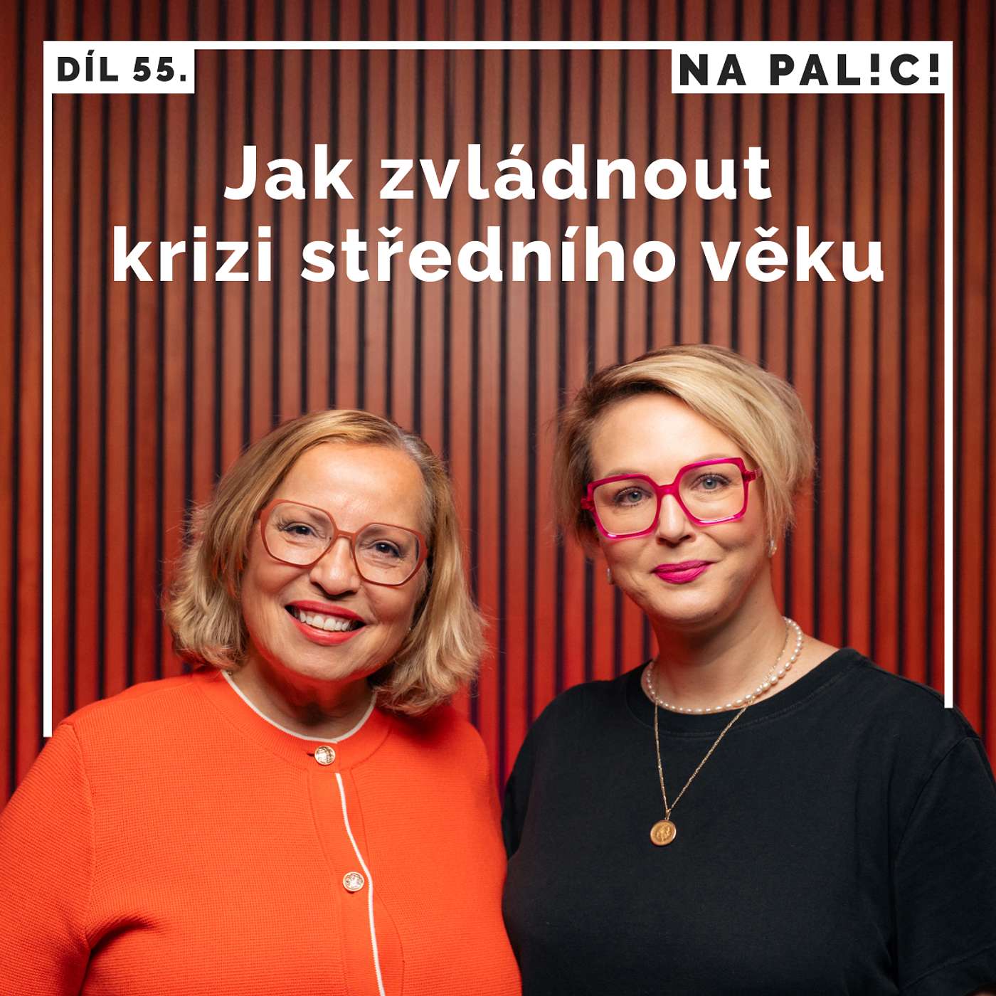 na-palici-cover