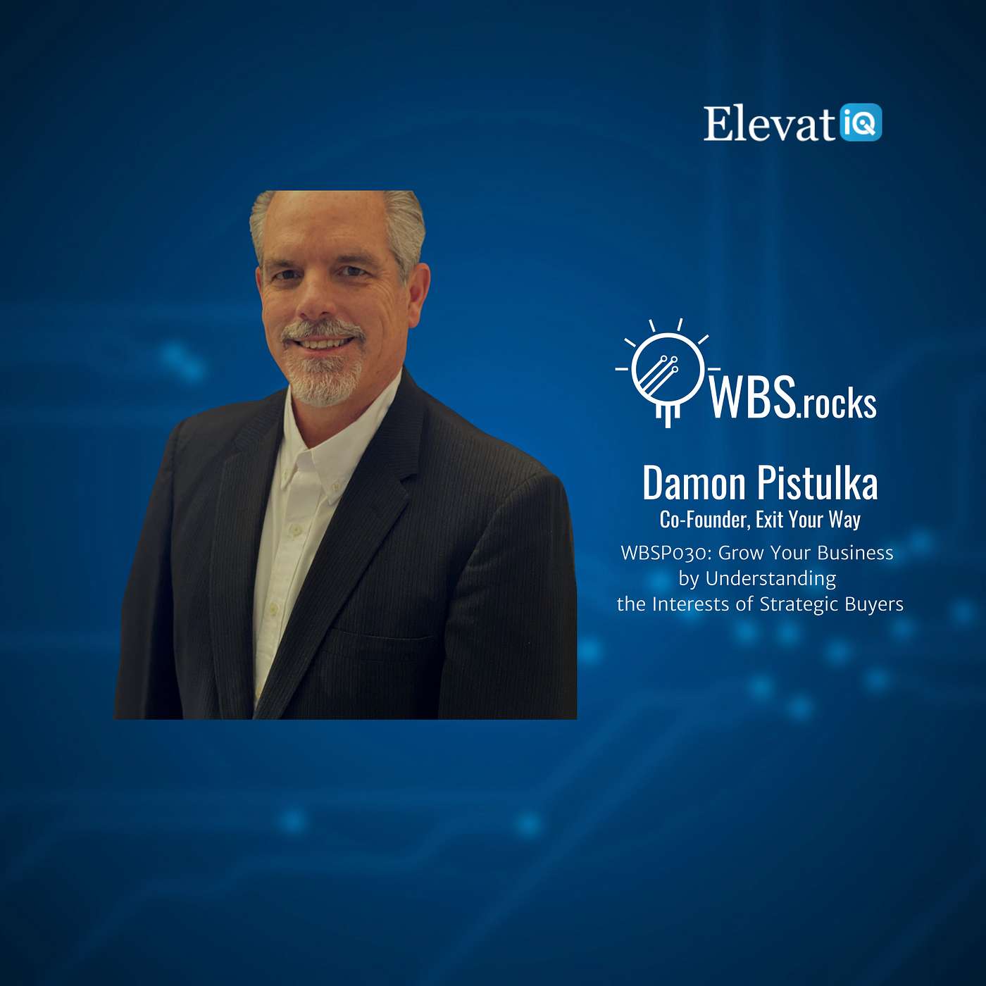 WBSP030: Grow Your Business by Understanding the Interests of Strategic Buyers w/ Damon Pistulka
