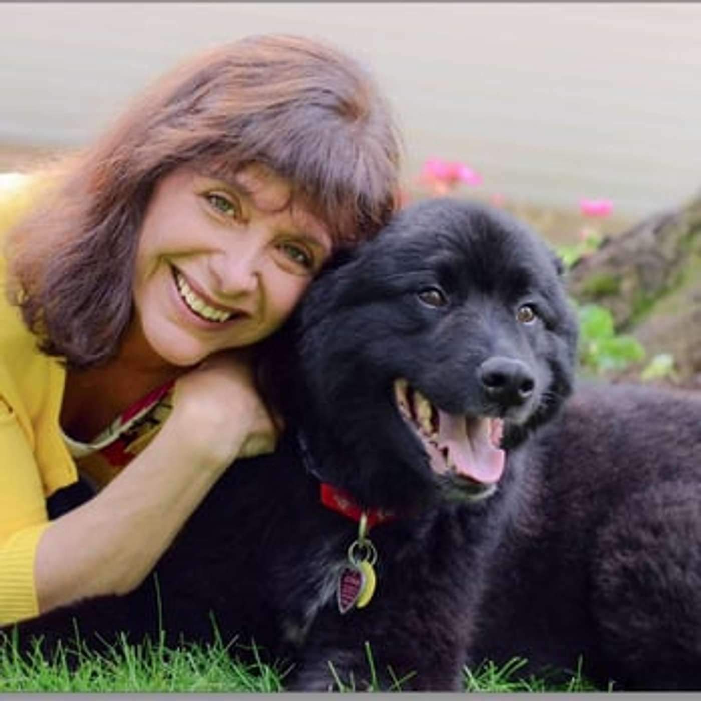 Travel Strategies For Spectrum And Special Needs Families And Asheville Regional Airport Update