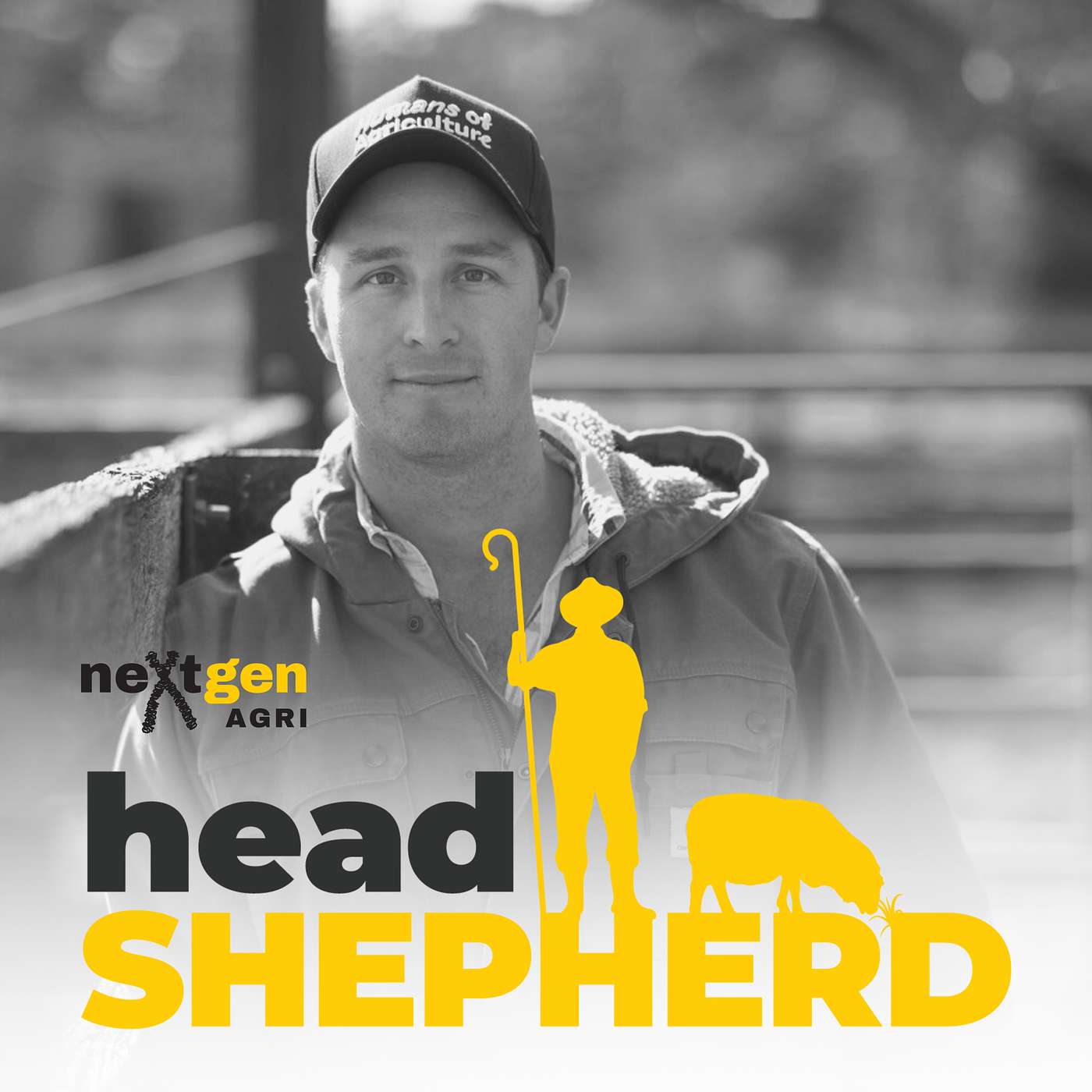 Head Shepherd