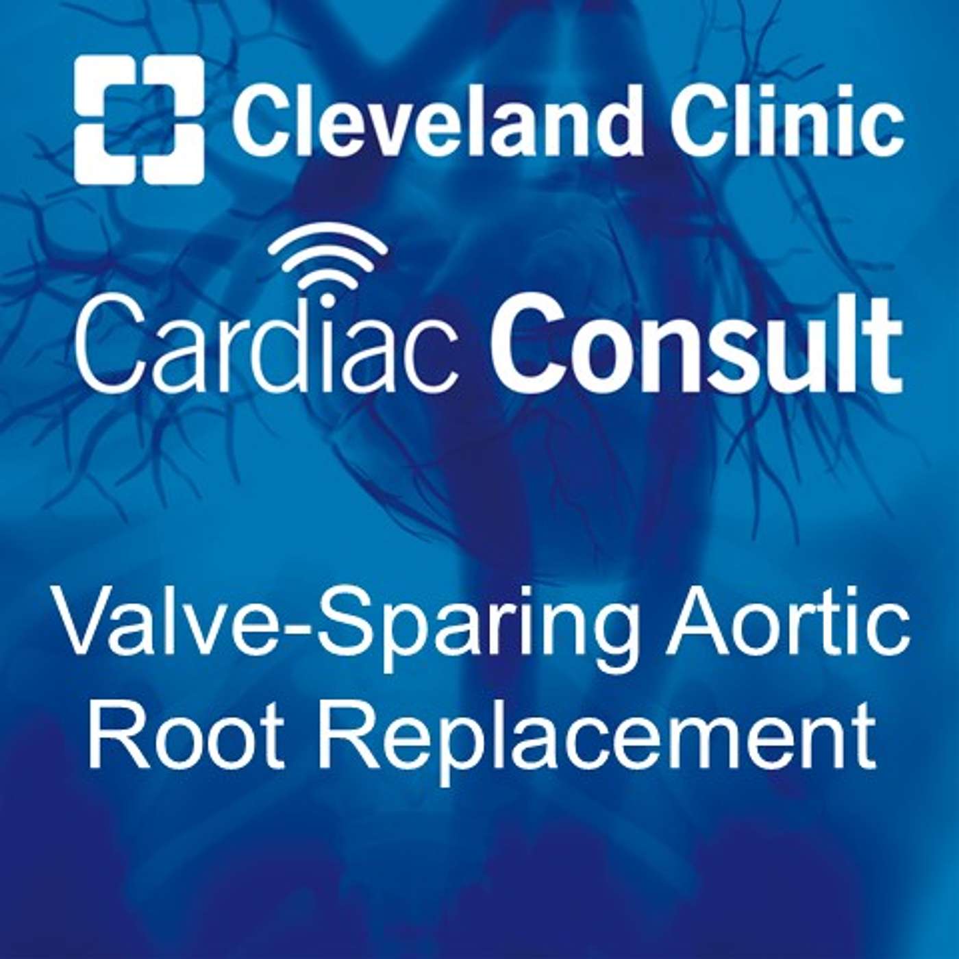 Expertise in Valve-Sparing Aortic Root Replacement