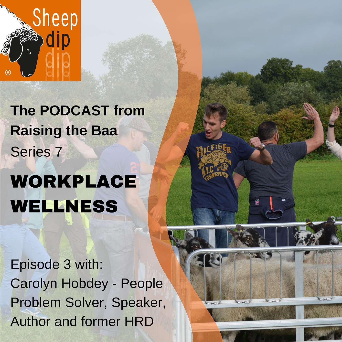 Sheep Dip with Raising the Baa