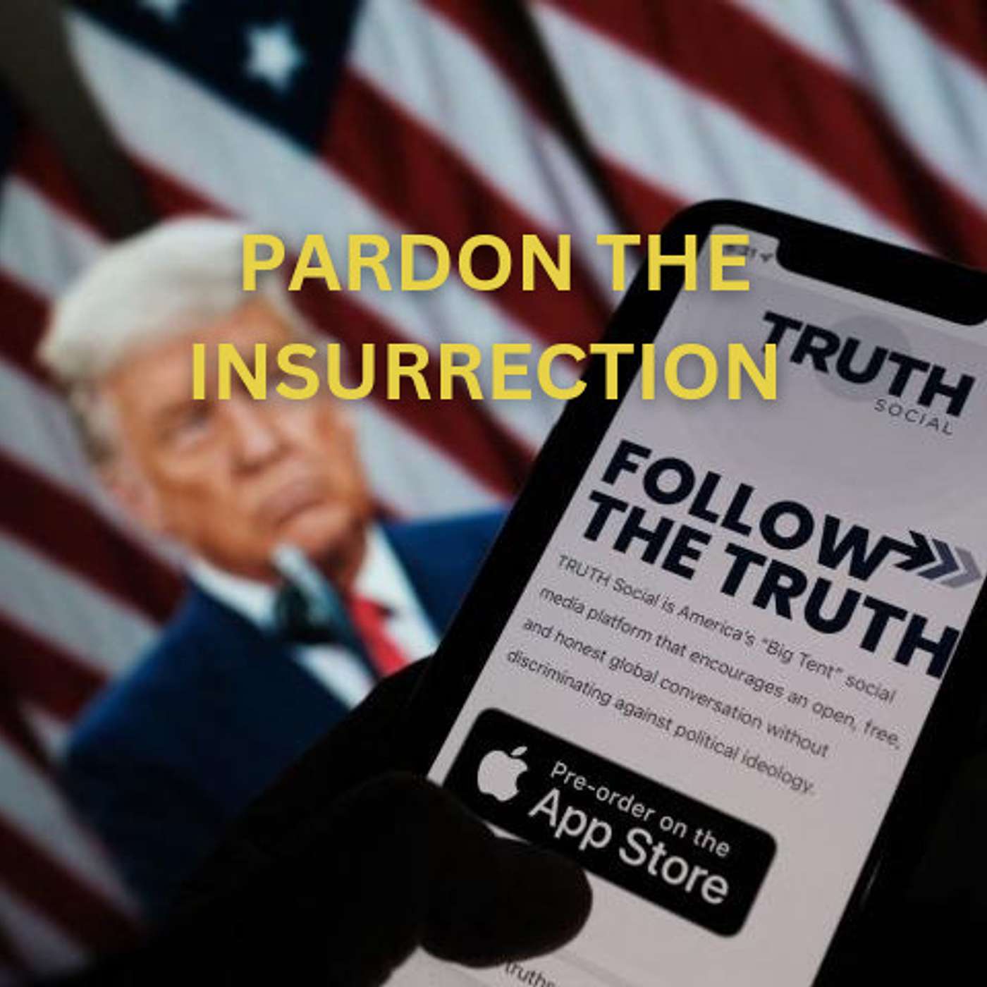 Pardon The Insurrection