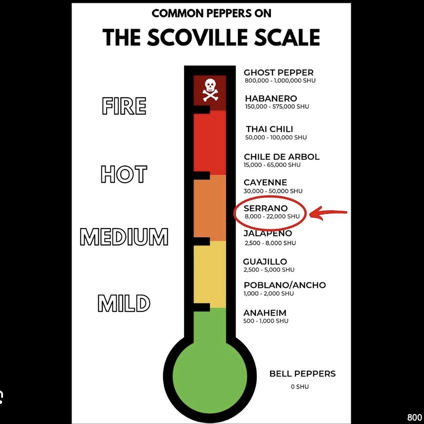 Wednesday, September 4, 2024 - No ELAND is an ELAND unto itself 😂