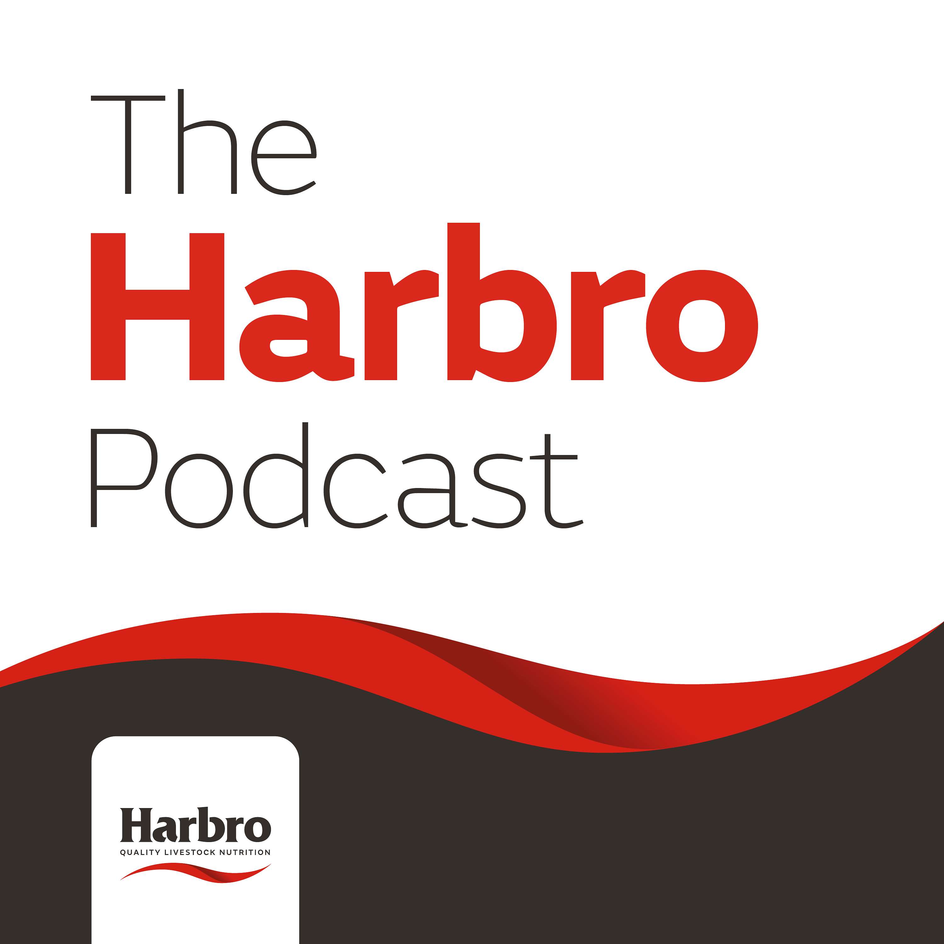 The Harbro Podcast