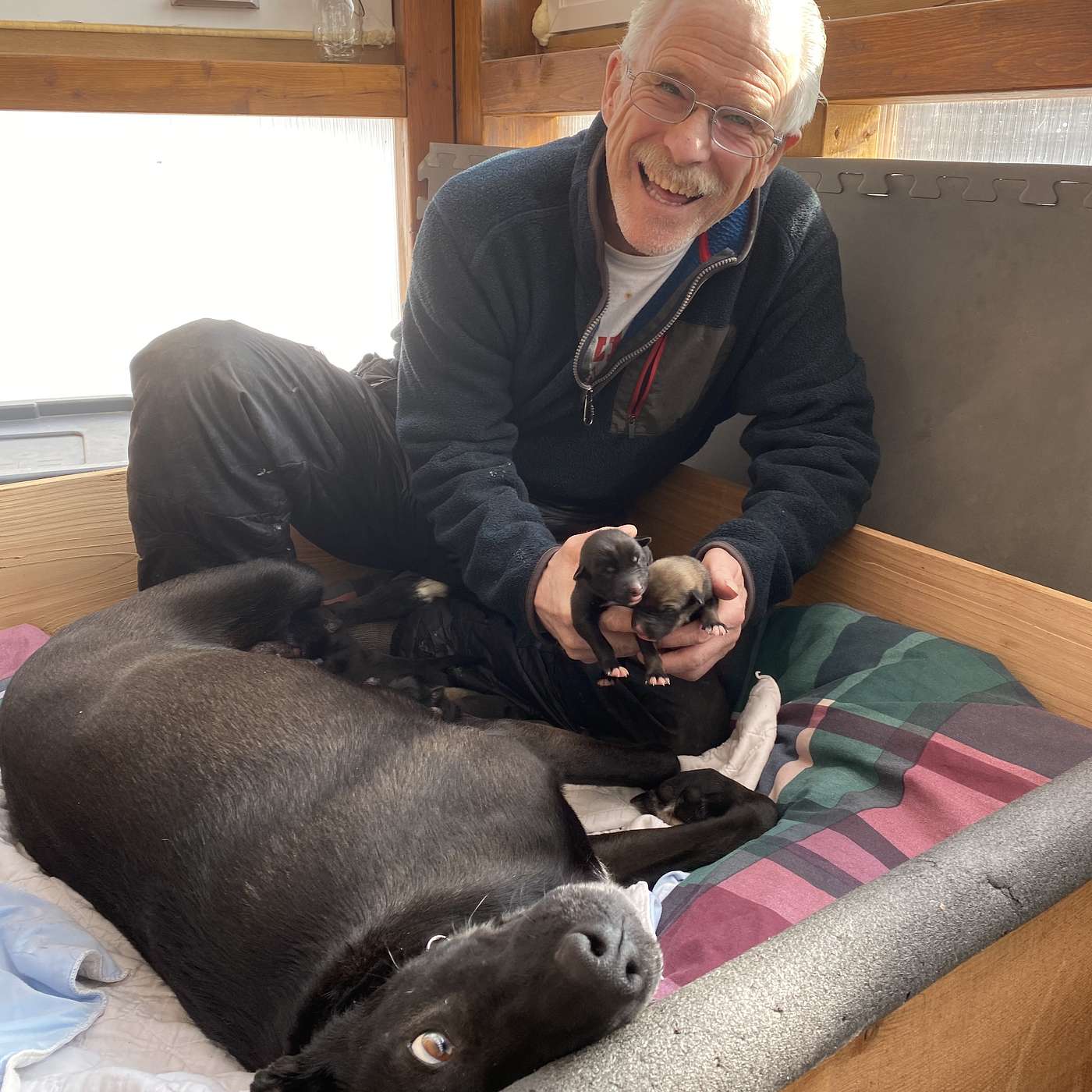 Jeff King Celebrates New Litter of Puppies and Springtime in Alaska