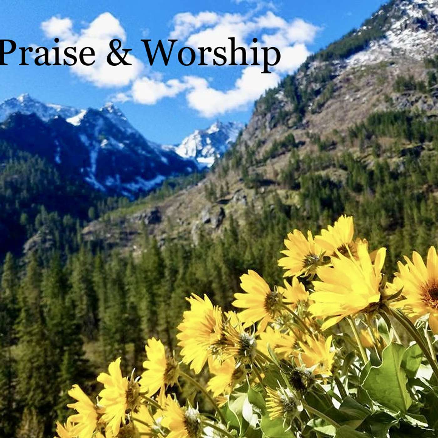 True Patriot Ministries