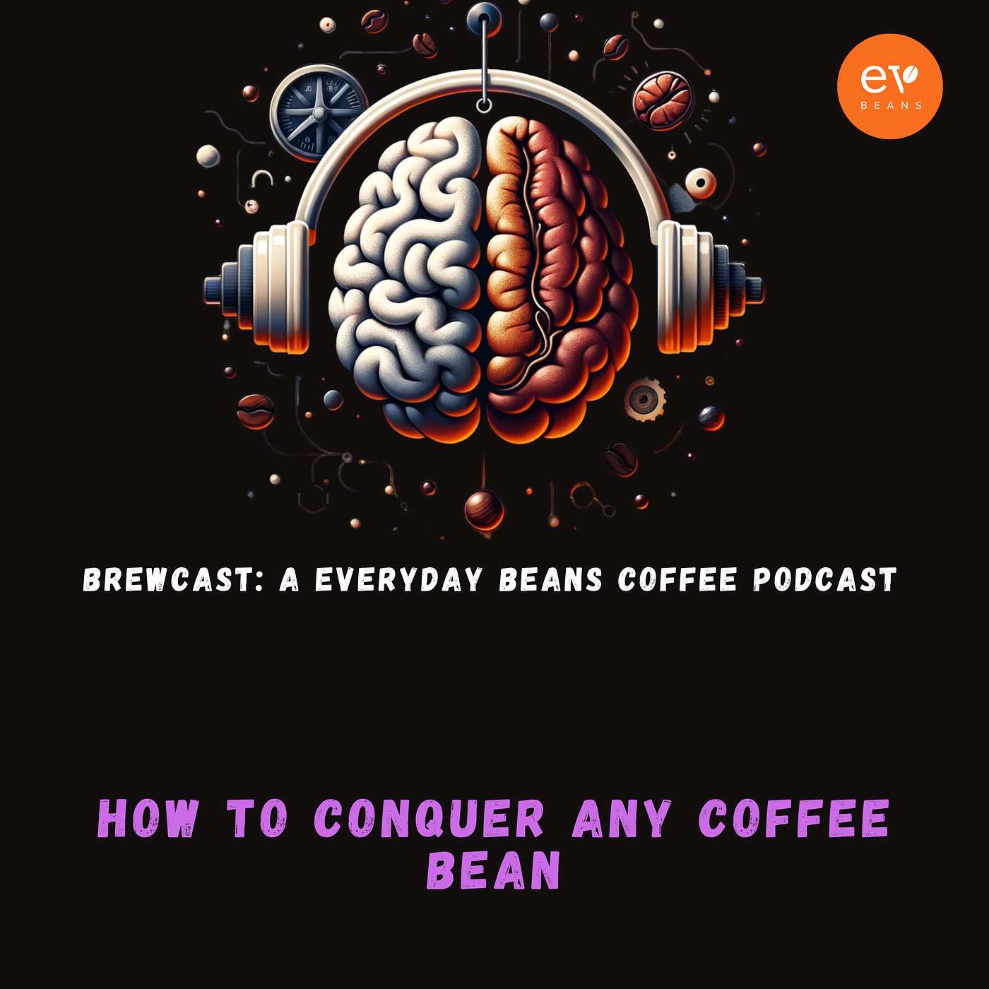 How to Conquer Any Coffee Bean How to Conquer Any Coffee Bean