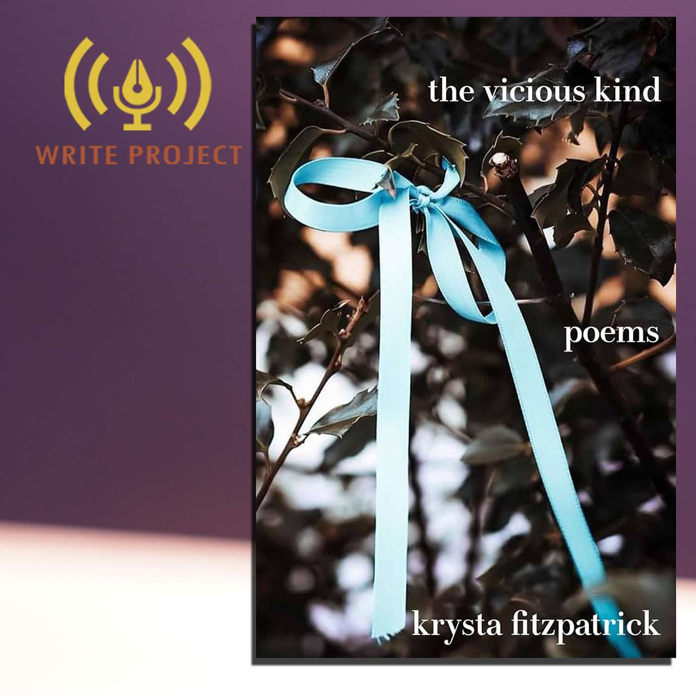 Interview with Dr. Krysta Fitzpatrick | The Write Project episode artwork