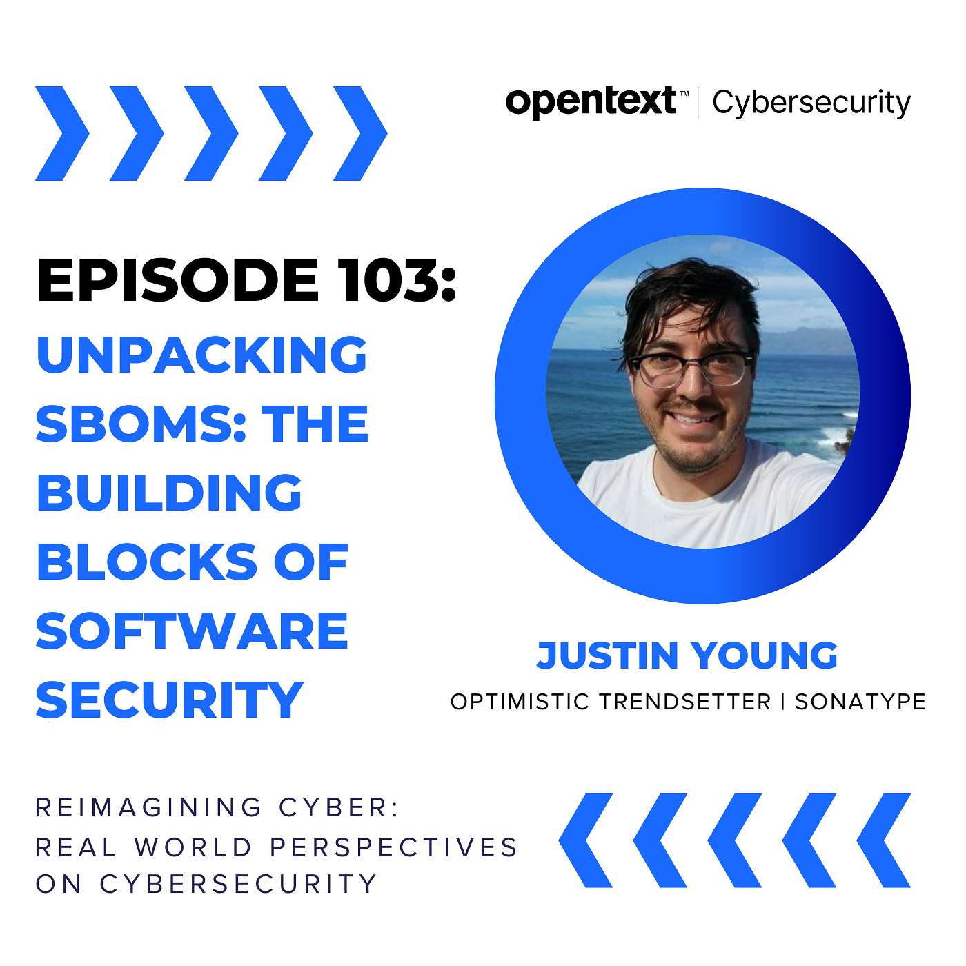 Reimagining Cyber - real world perspectives on cybersecurity