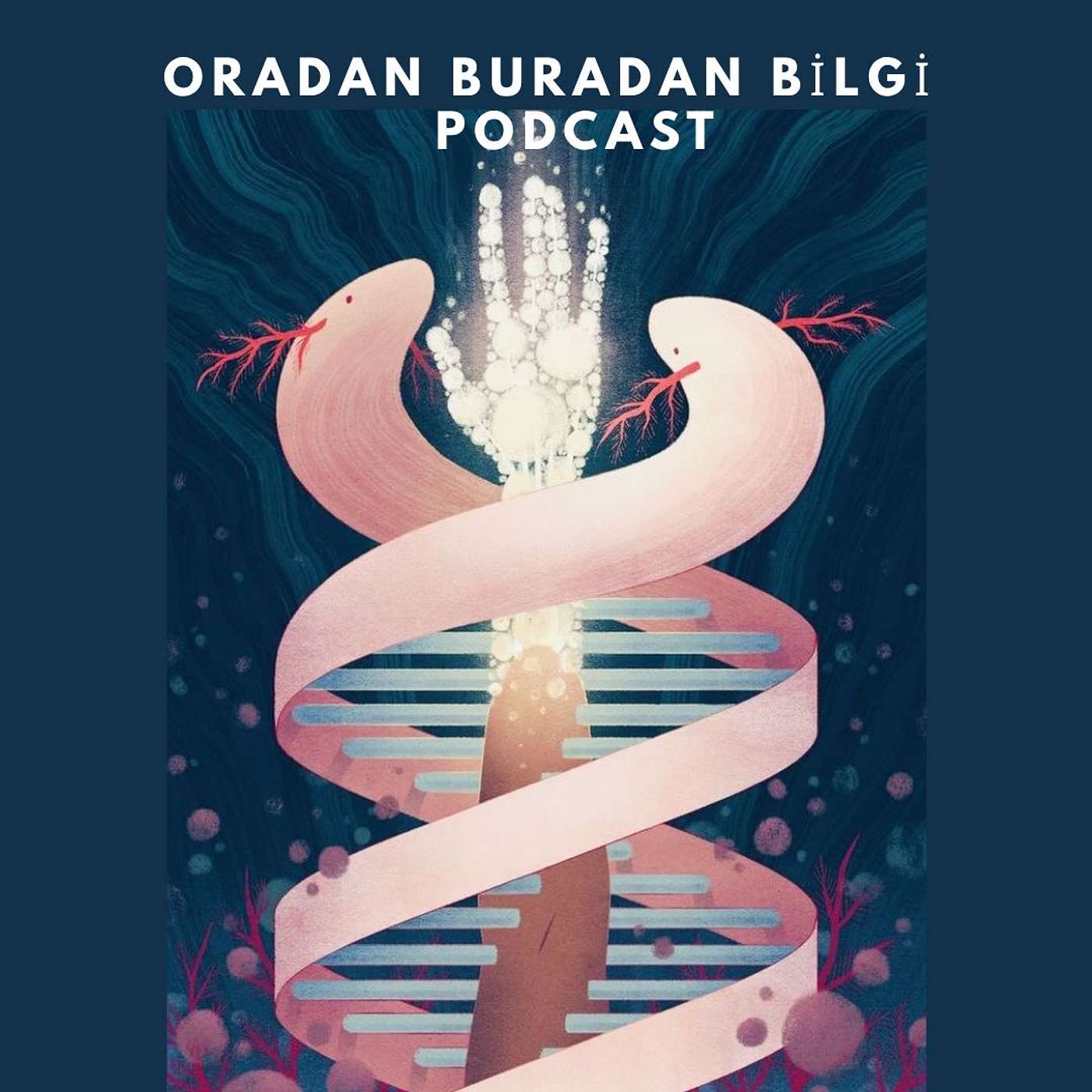 Hedonik Adaptasyon: Mutluluk Döngüsünün Hapishanesi