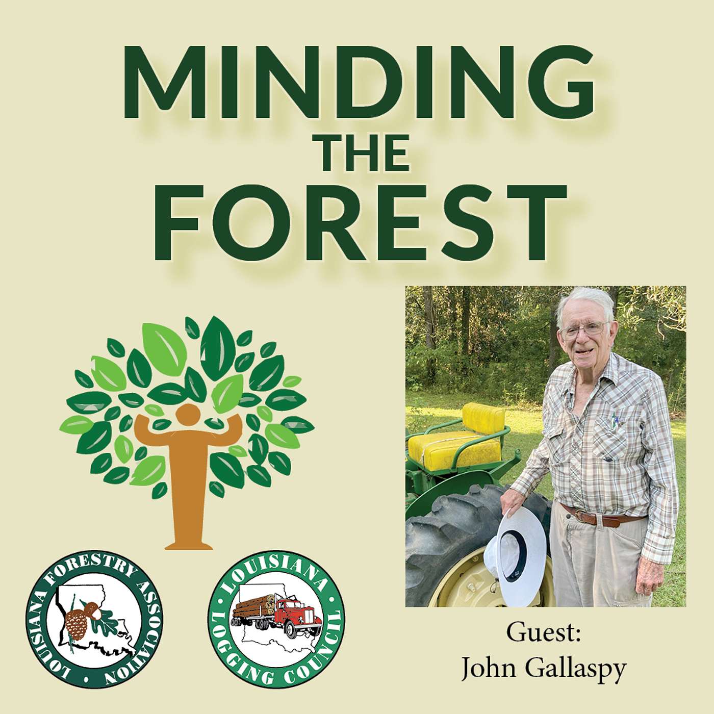 Minding the Forest