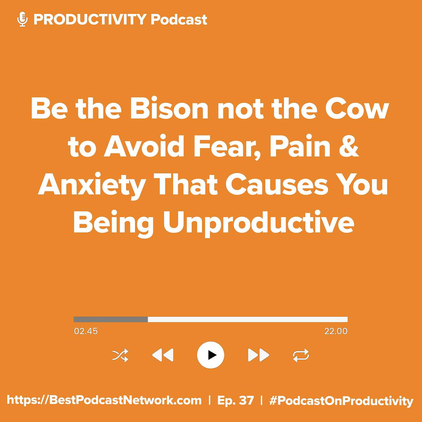 Be the Bison not the Cow to Avoid Fear, Pain and Anxiety That Causes Being Unproductive