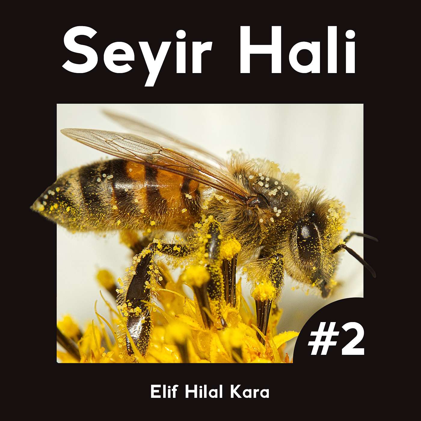 2 - Pasaklı Kahramanlar ve Titiz Hanımefendiler: Kovanın Ruhu episode artwork