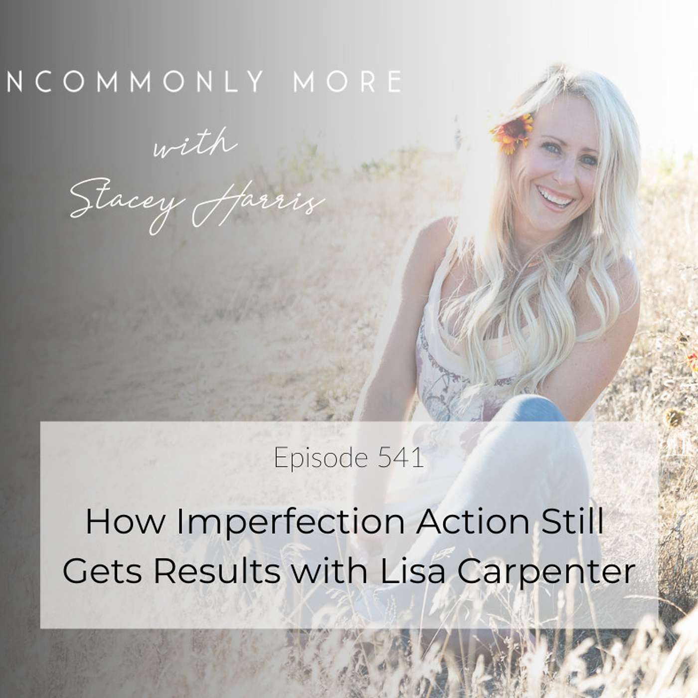 How Imperfection Action Still Gets Results with Lisa Carpenter