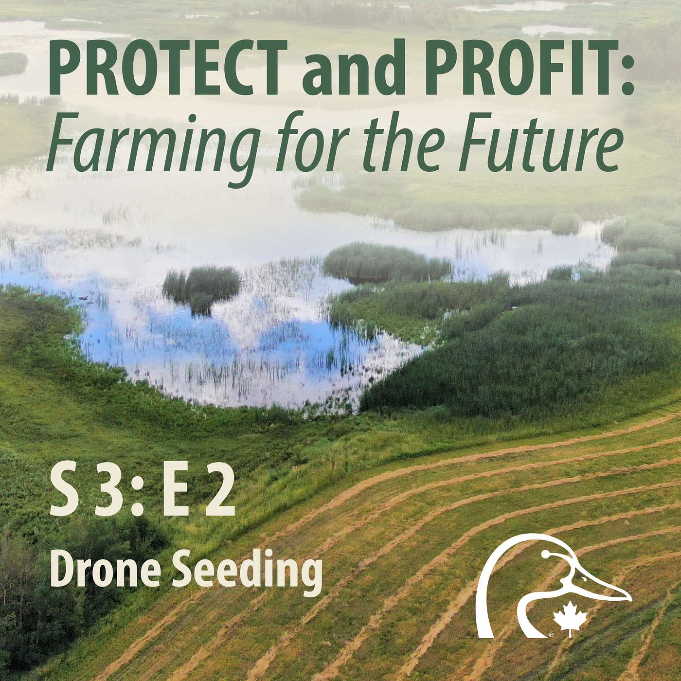 2026 05 May - Drone Seeding episode artwork