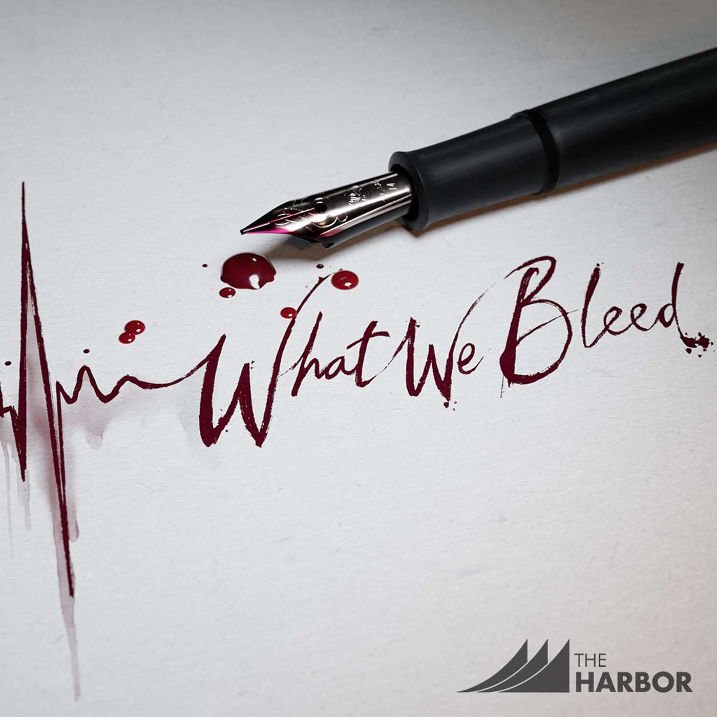 What We Bleed: His Plan Our Call  -  Jeff Maness