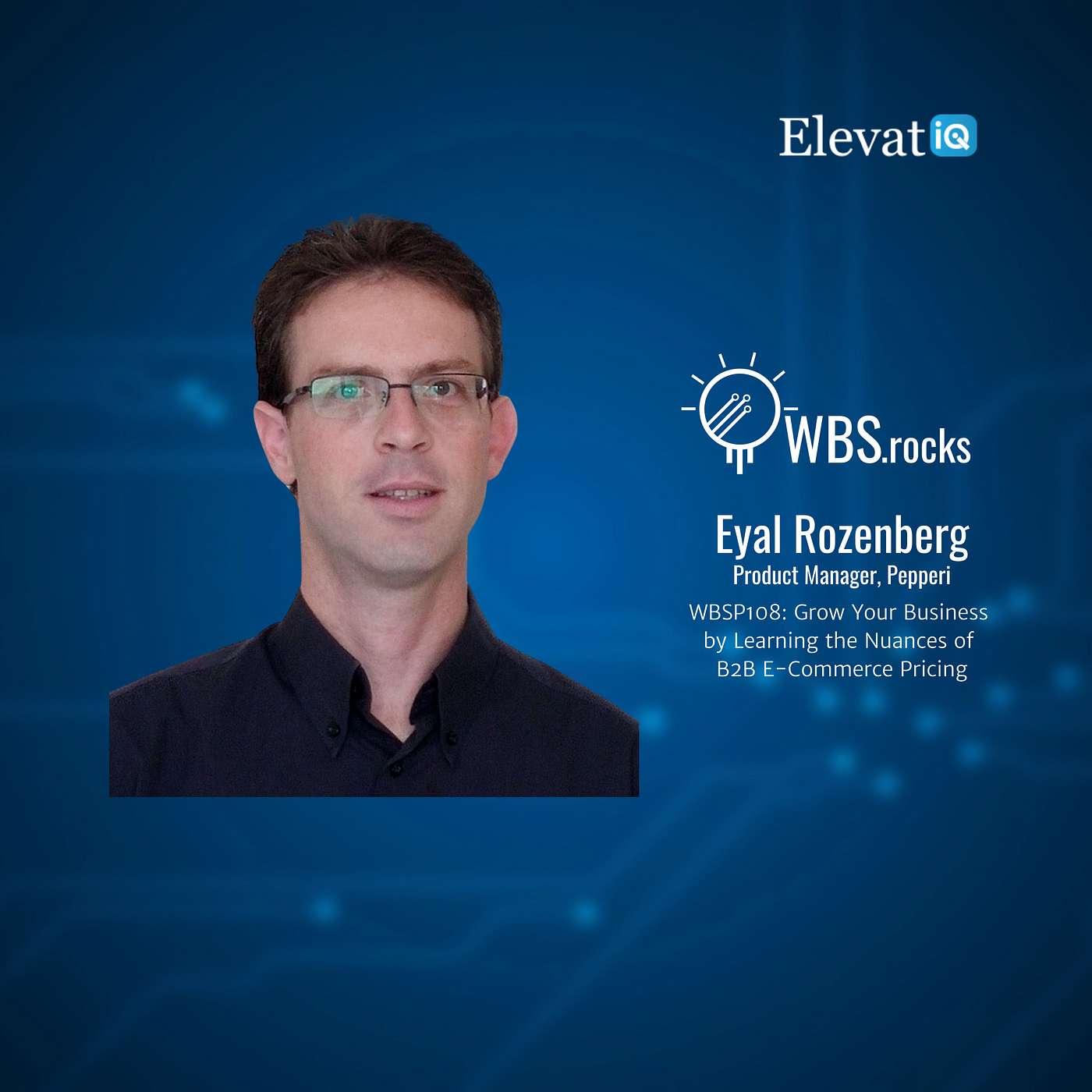 WBSP108: Grow Your Business by Learning the Nuances of B2B E-Commerce Pricing w/ Eyal Rozenberg
