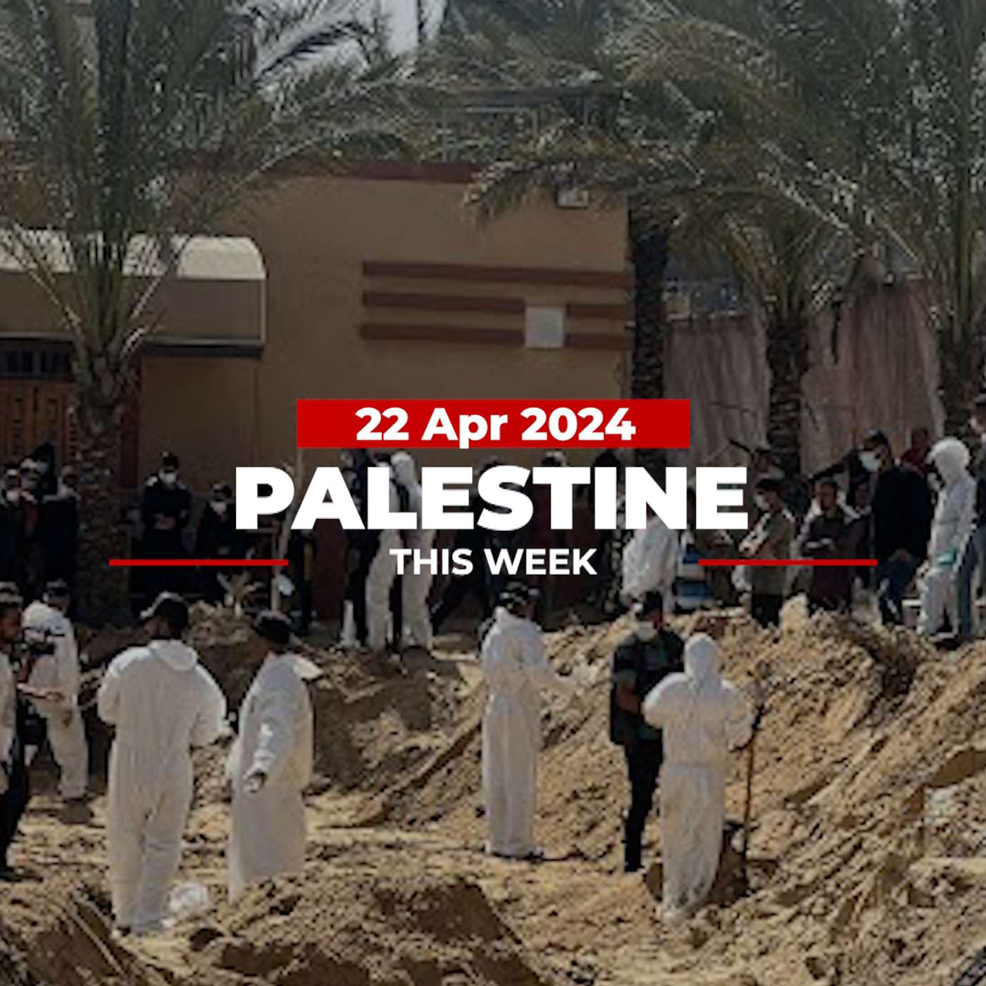 Palestine This Week