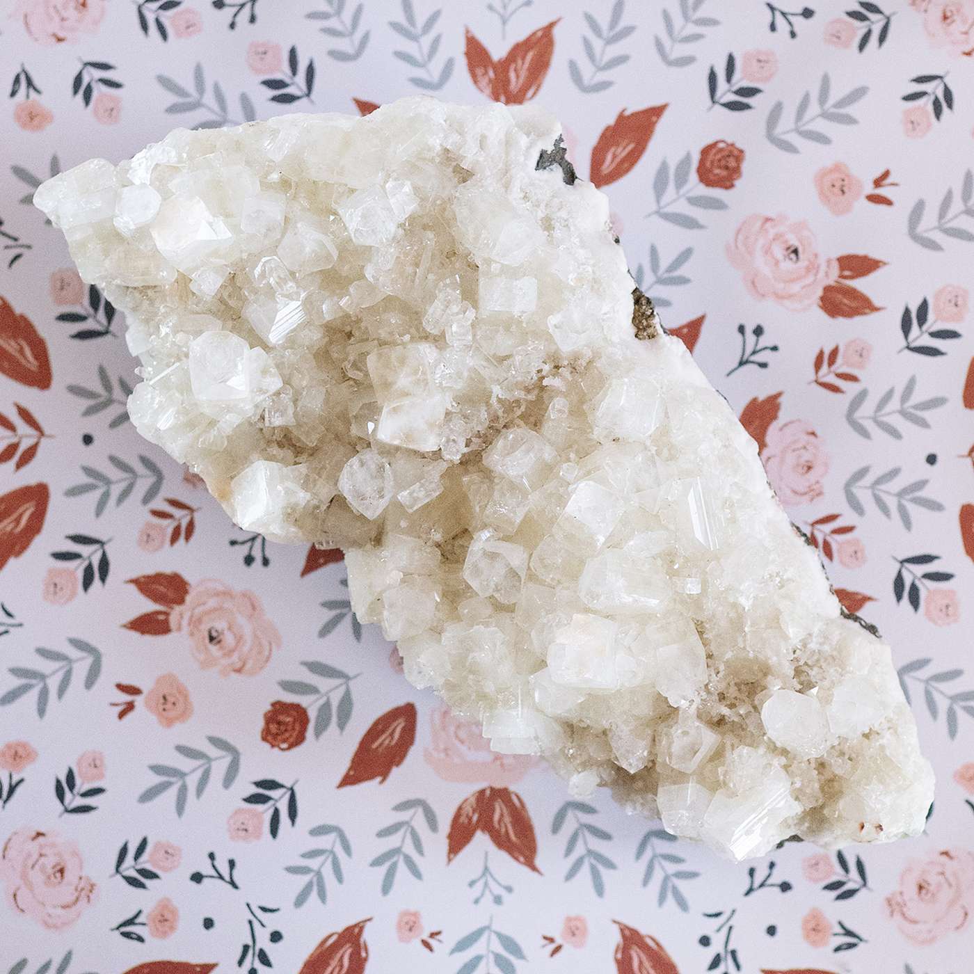 Amanda Palmieri Rocks! (A Relaunched Episode)