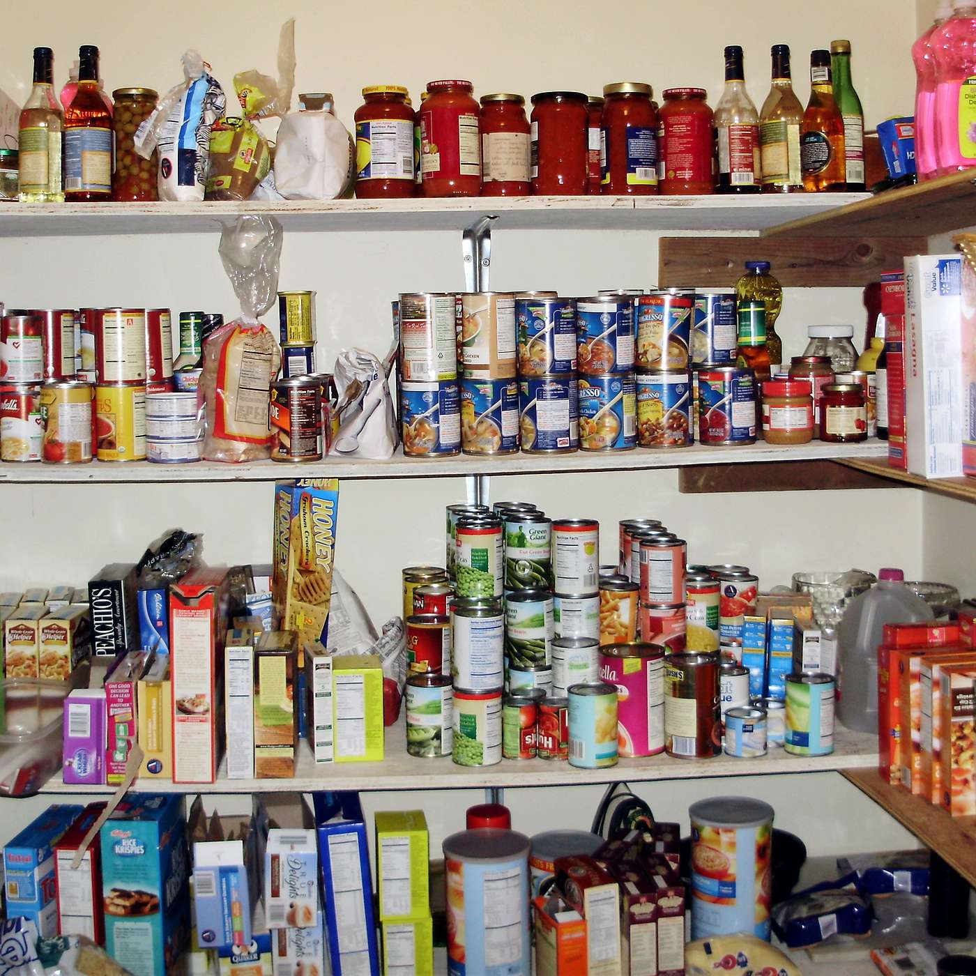 Focused on Infinity with Logan Grendel