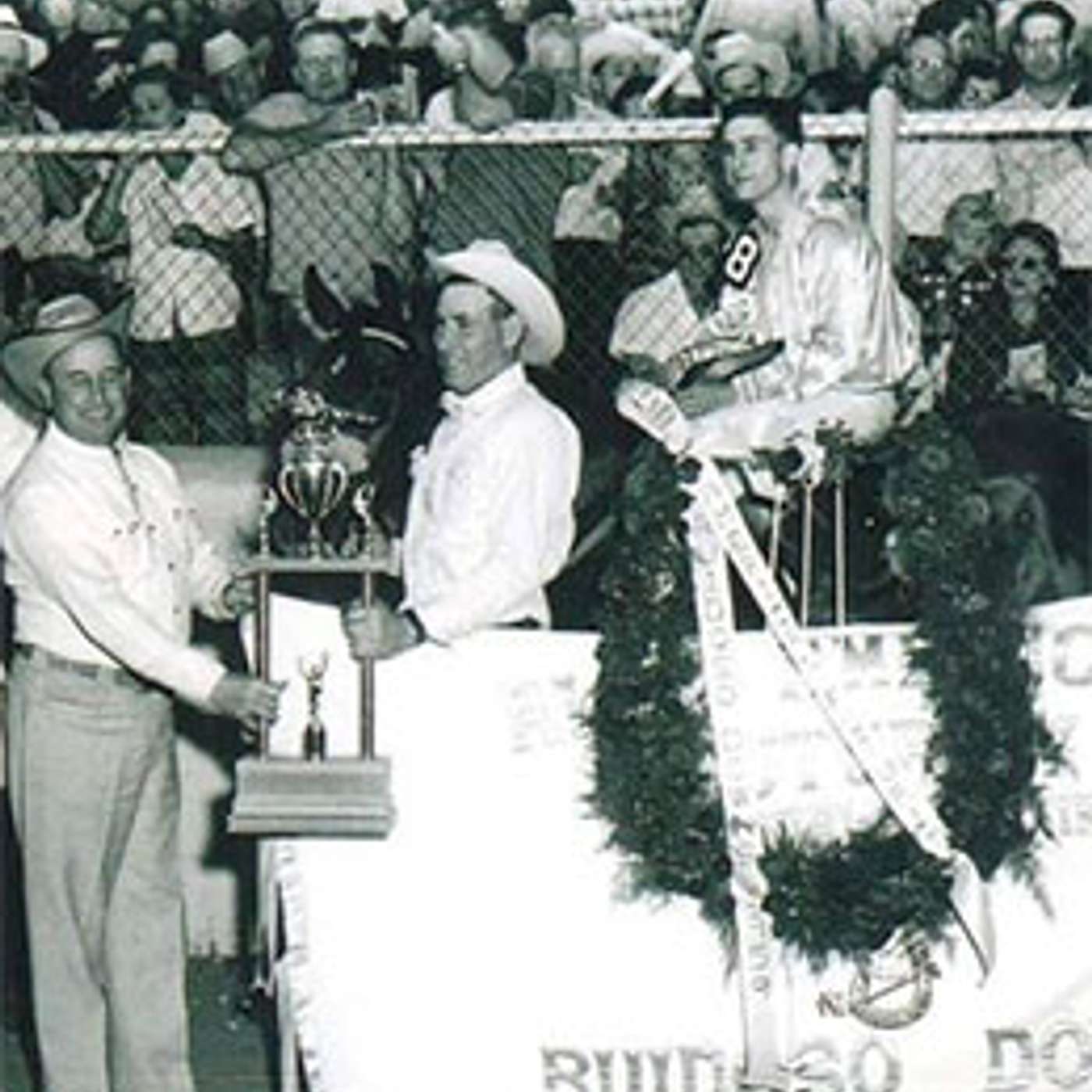 StallioneSearch Podcasts