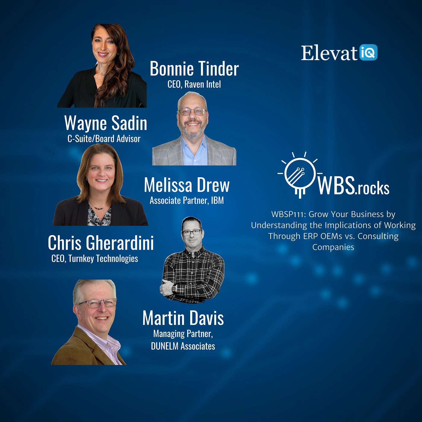WBSP111: Grow Your Business by Understanding the Implications of Working Through ERP OEMs vs. Consulting Companies, a Live Interview w/ a Panel of Experts
