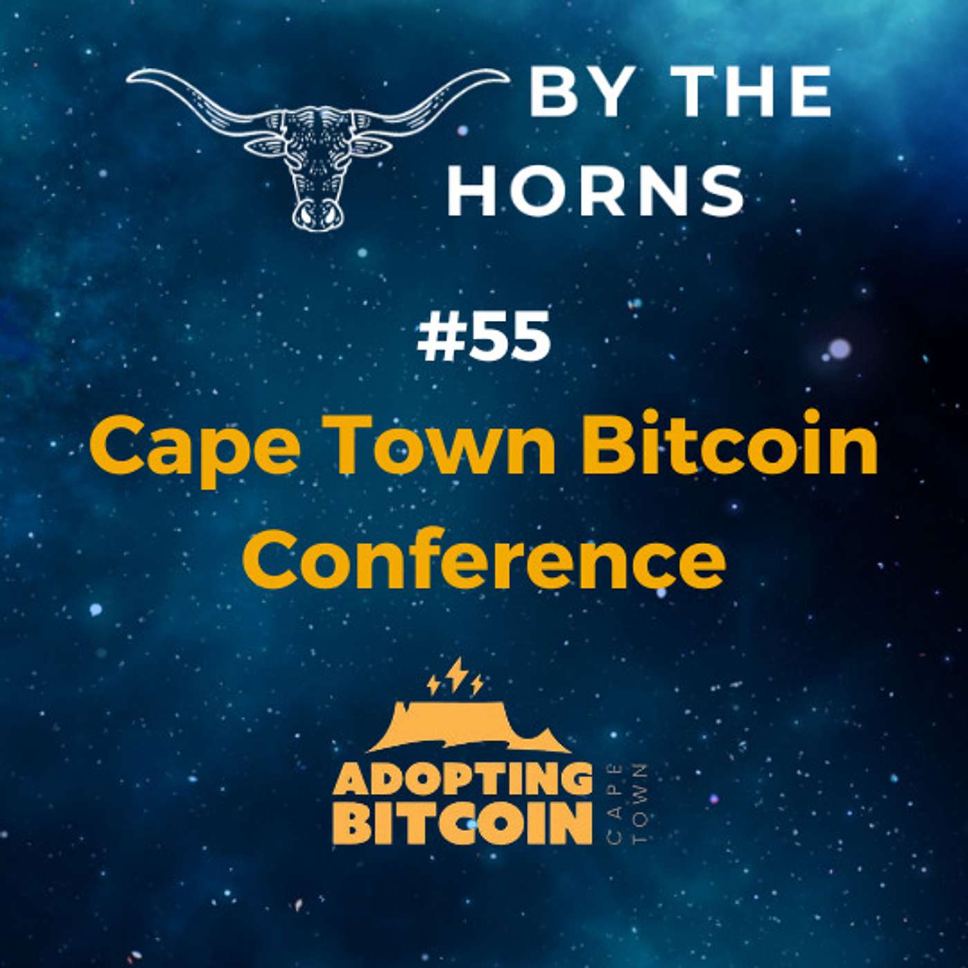 By The Horns: A Bitcoin podcast about South Africa