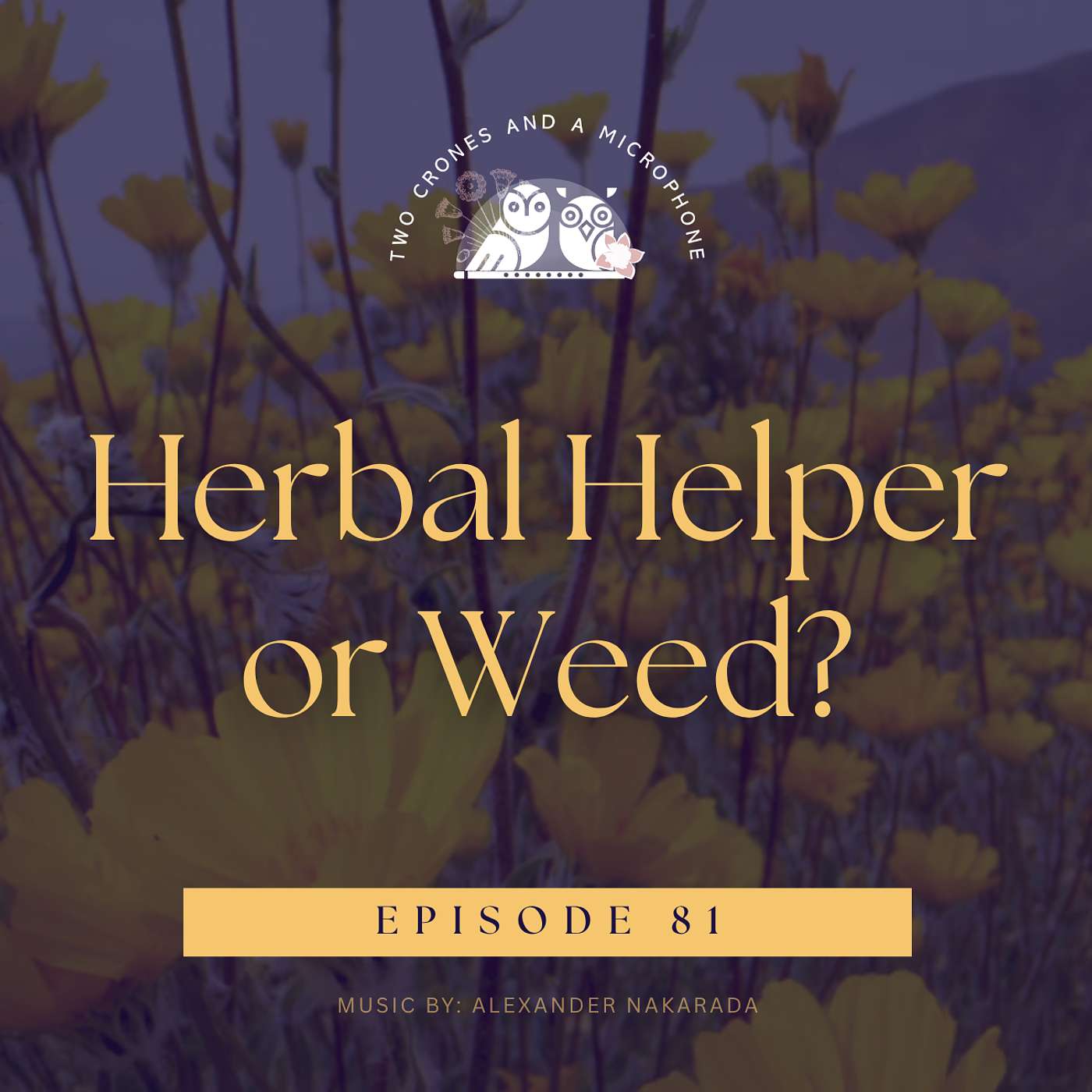 Podcast 81: Herbal Helper or Weed? episode artwork