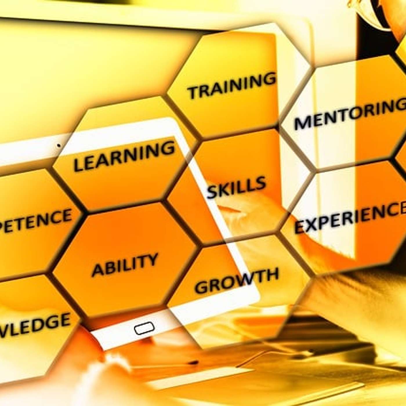 193_The Integration of Core Life Skills and Sustainability