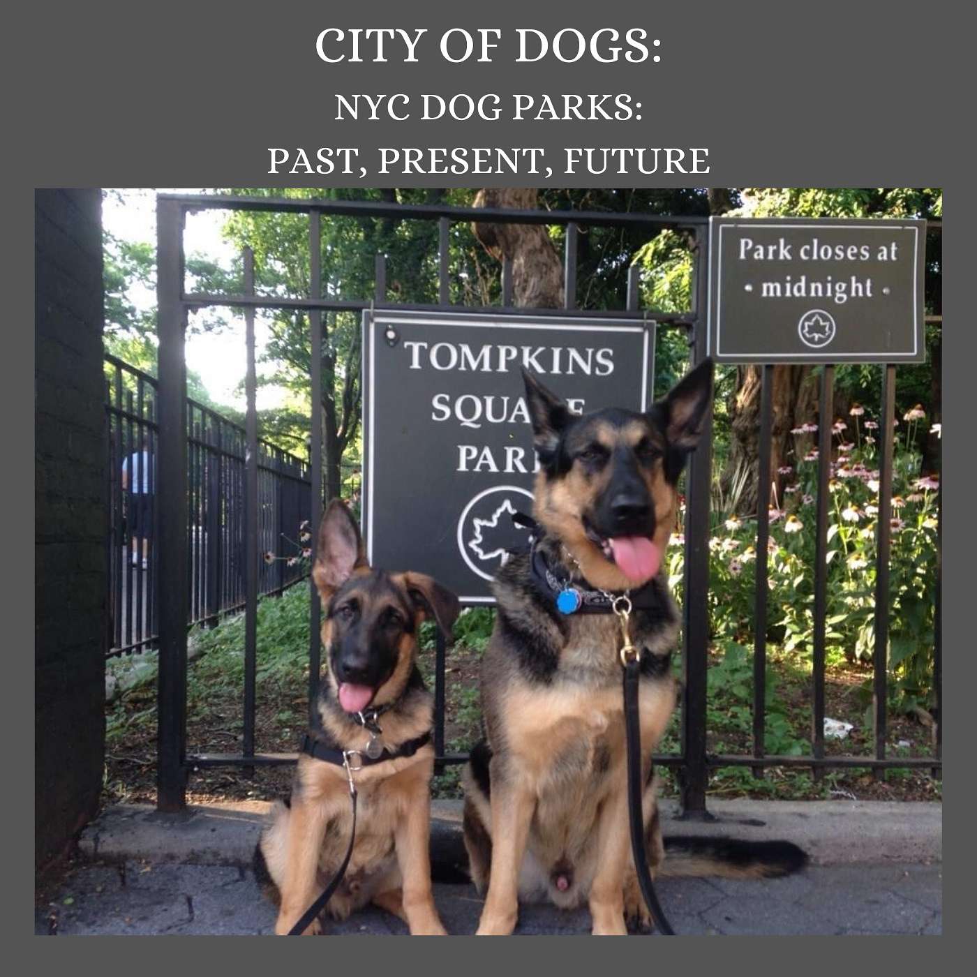 Episode 3: Dog Parks and Community with Garrett Rosso Episode 3: Dog Parks and Community with Garrett Rosso