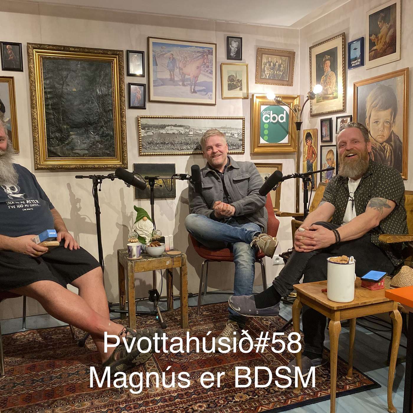 Þvottahúsið