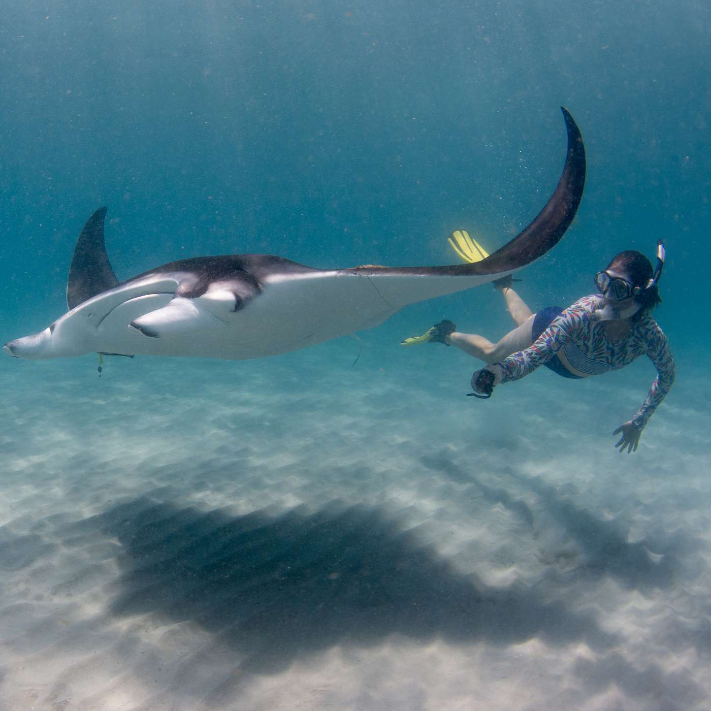 So You Want to Be a Marine Biologist