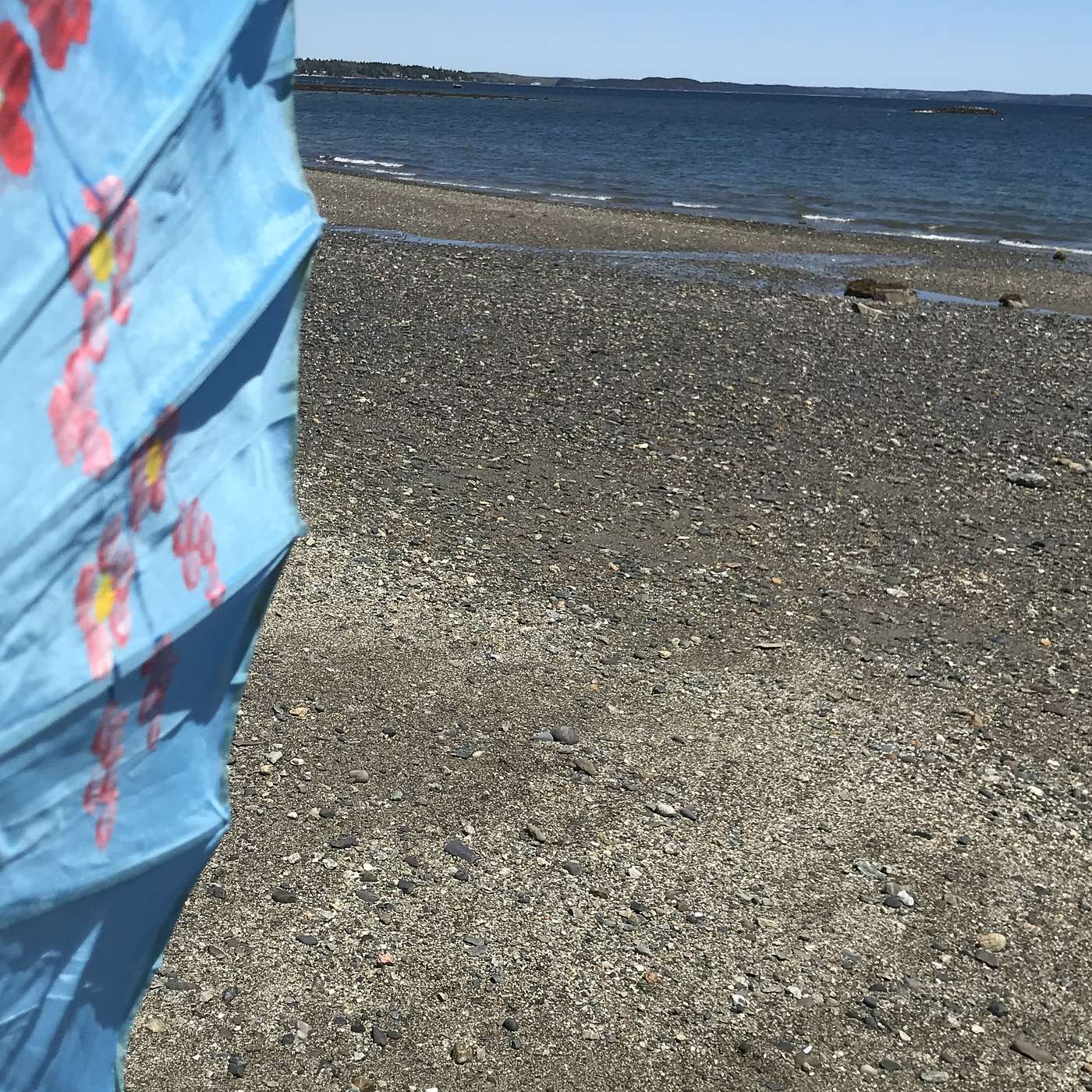 Second stop, Lamoine Beach Maine Monday May 24 1:00 pm