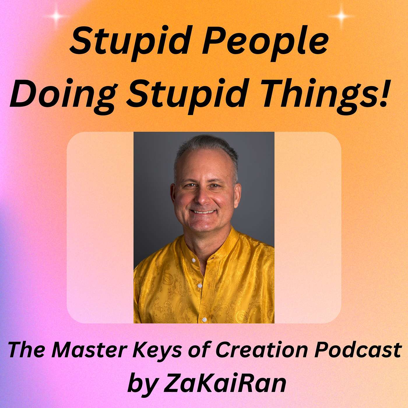 Stupid People Doing Stupid Things! episode artwork