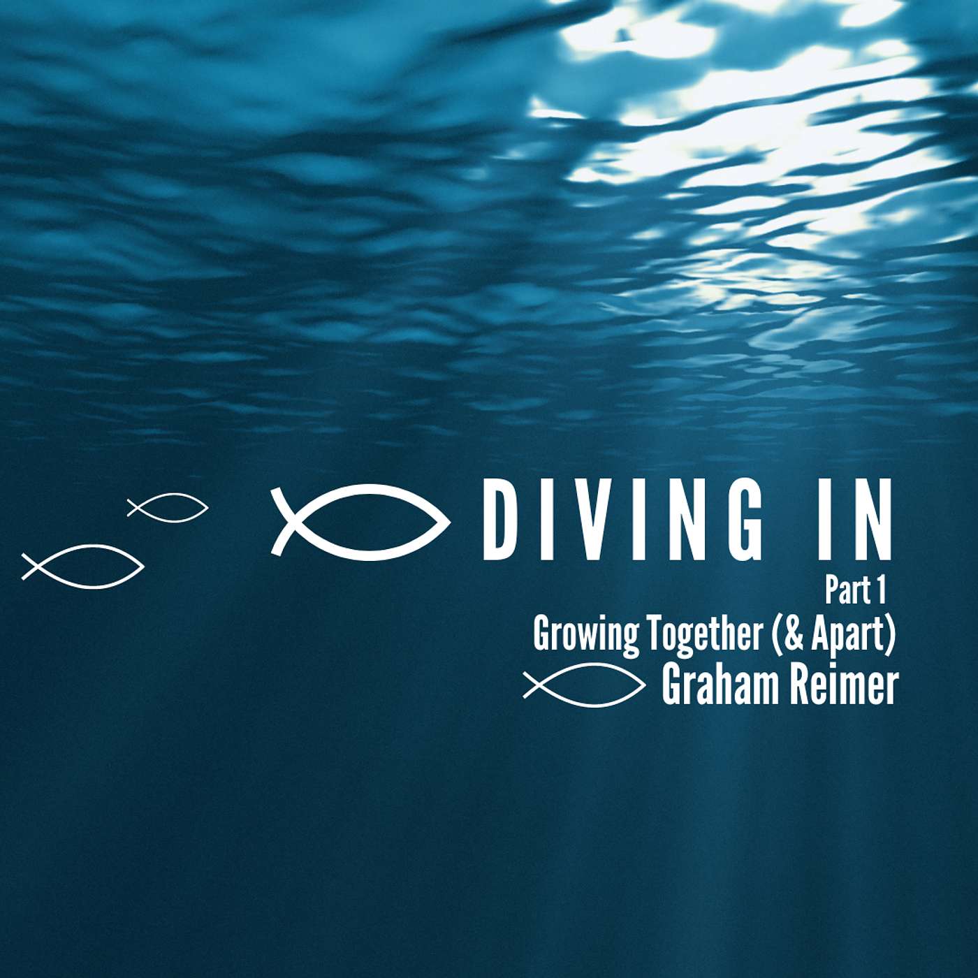 DIVING IN • PART 1 •  GRAHAM REIMER