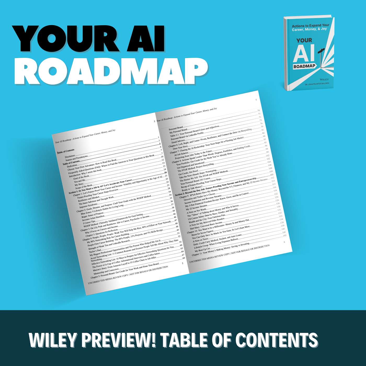 cover of episode Bonus! Your AI Roadmap Table of Contents. Sneak Peek of Wiley Book