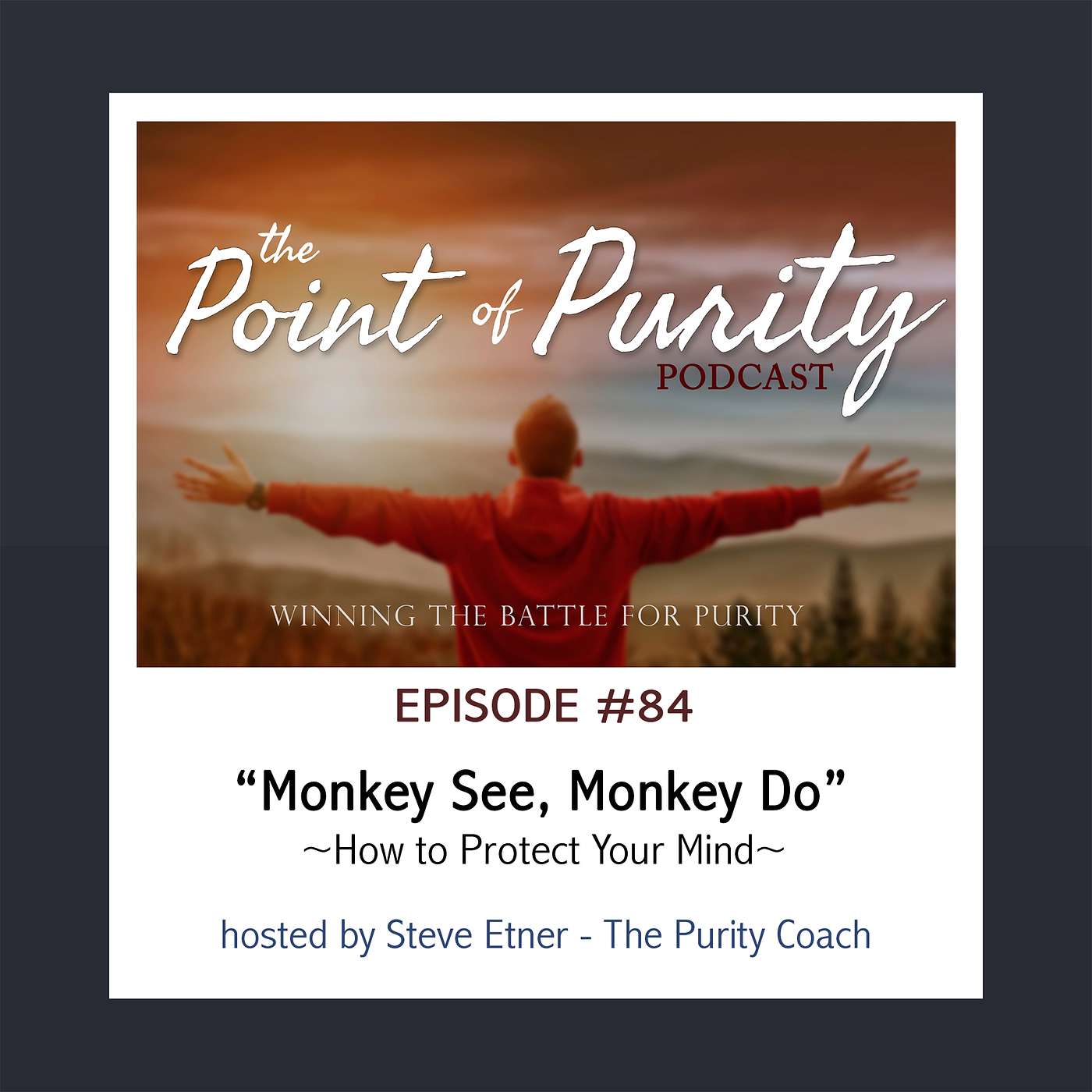 Episode 84 - "Monkey See, Monkey Do" episode artwork