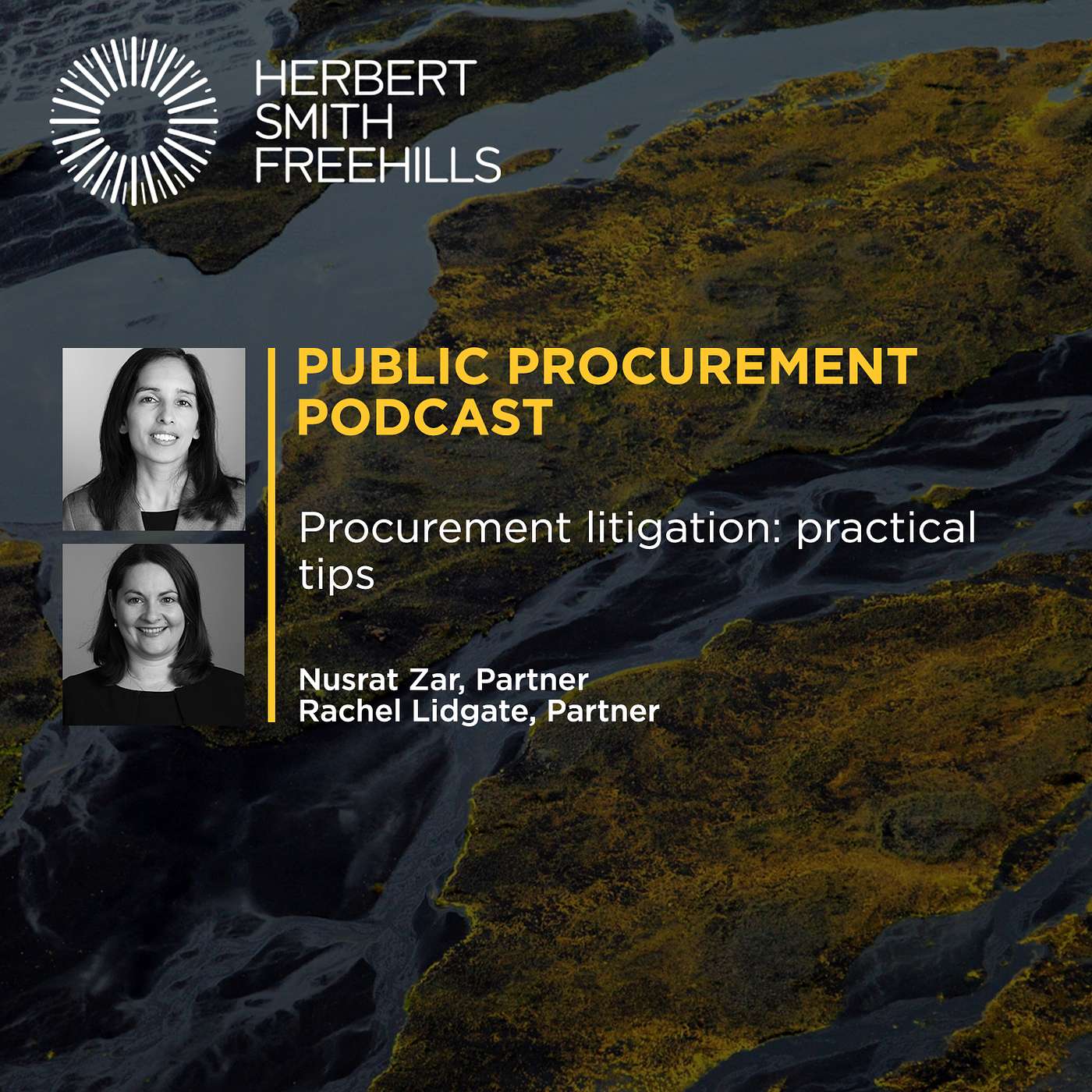Public Procurement Podcast: Procurement litigation: practical tips episode artwork