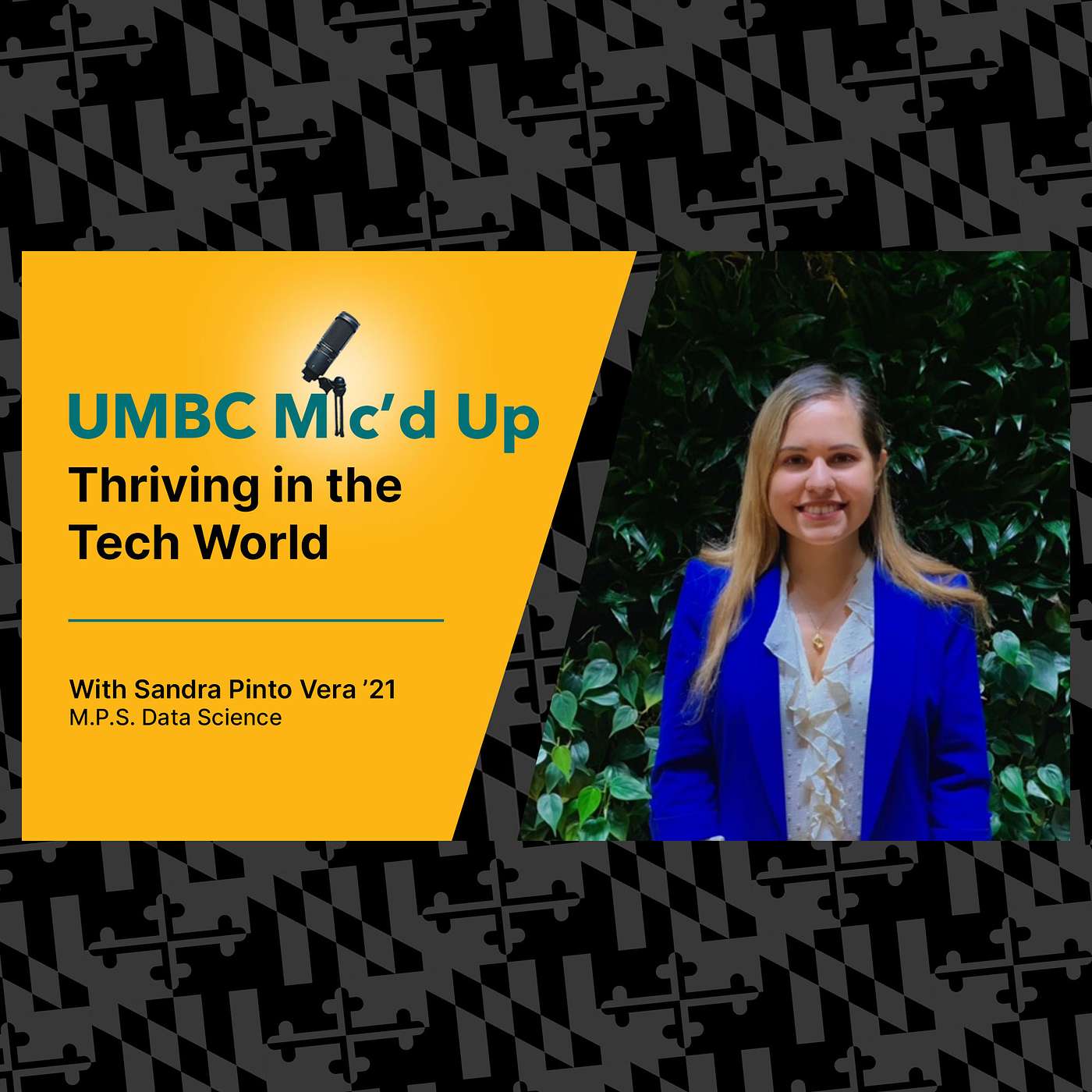 Thriving in the Tech World episode artwork