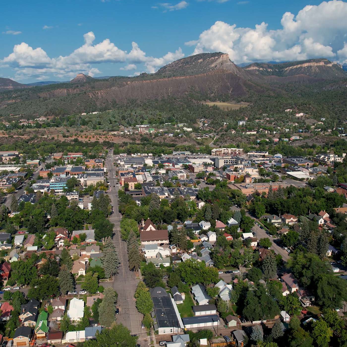 Stay Up to Date on Seasonal Vaccines