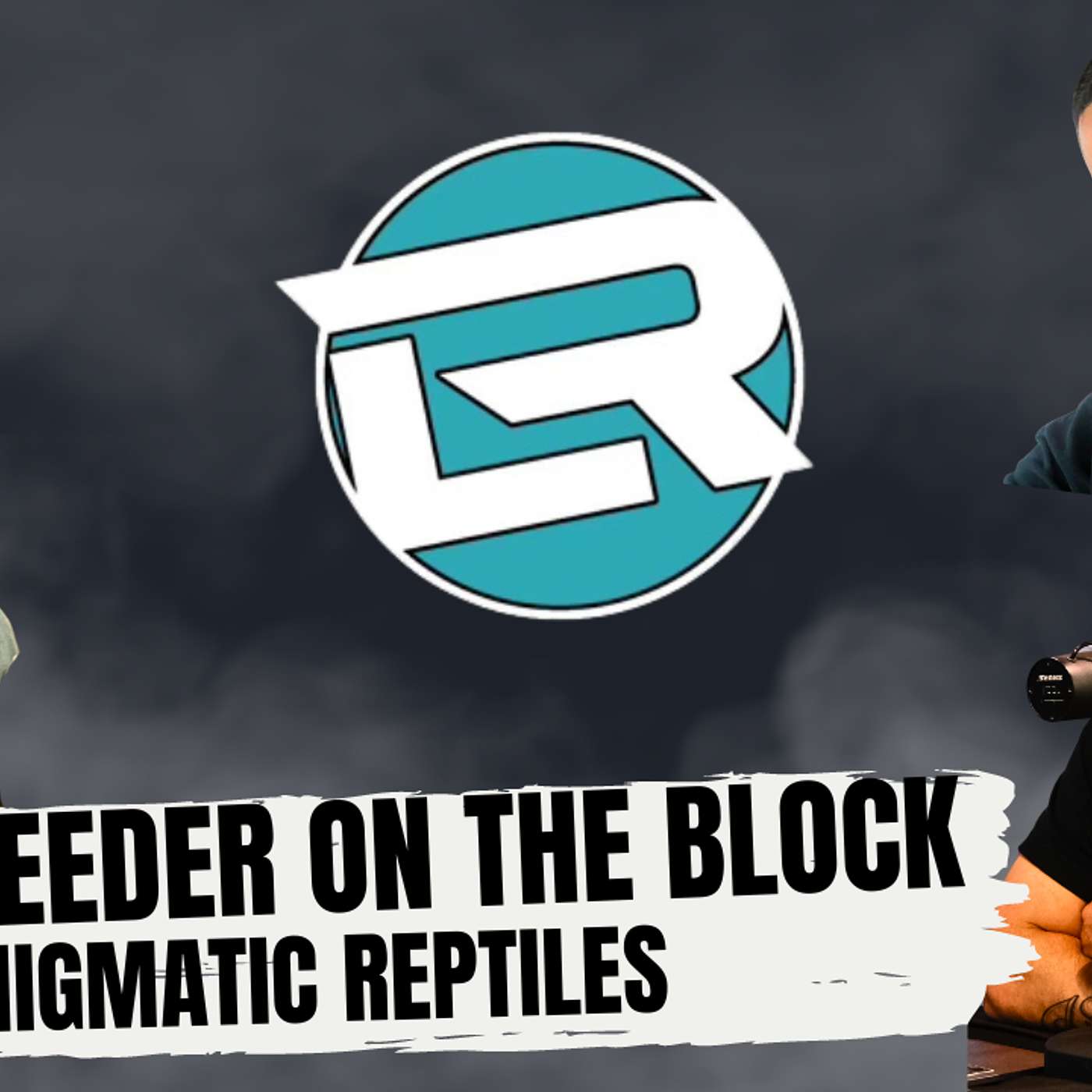 FINDING THE RIGHT BALL PYTHON PROJECT AS A NEW BREEDER IN 2024 | NEW BREEDER ON THE BLOCK LIVE