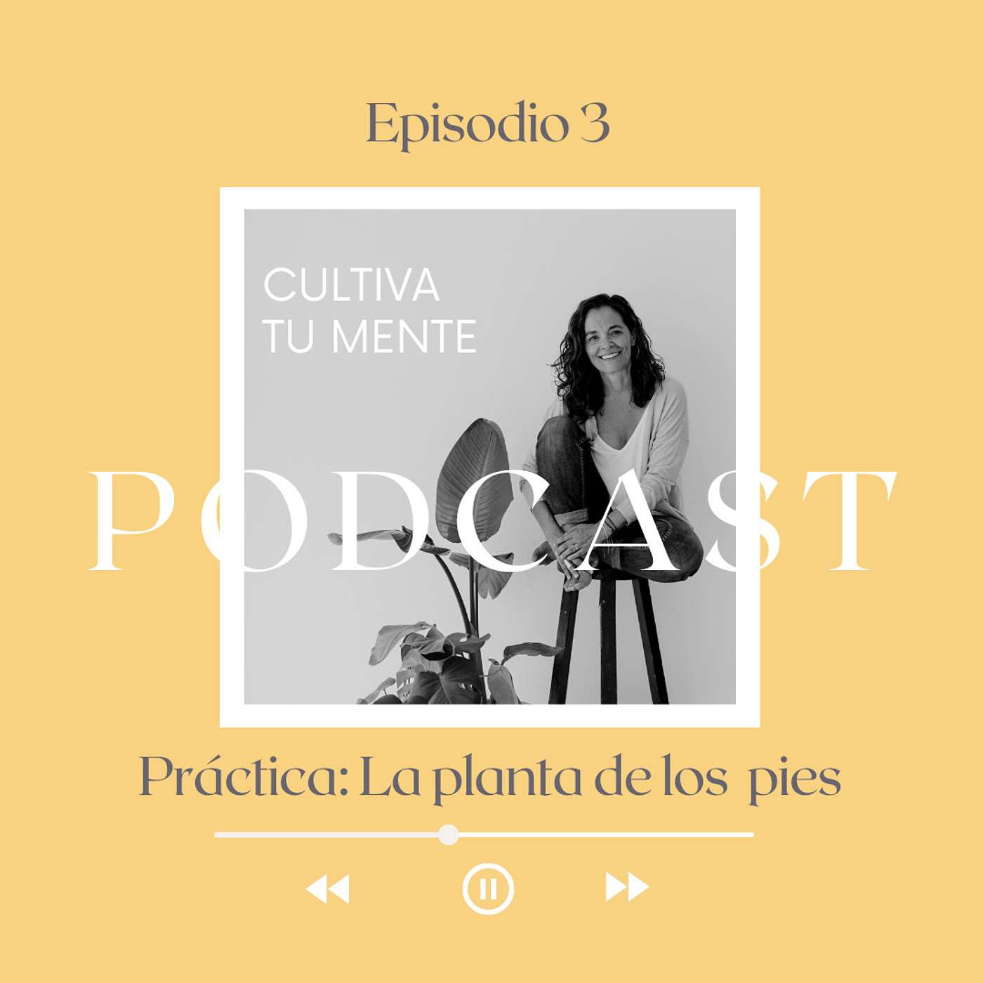 Ep.3 Práctica: La planta de tus pies episode artwork